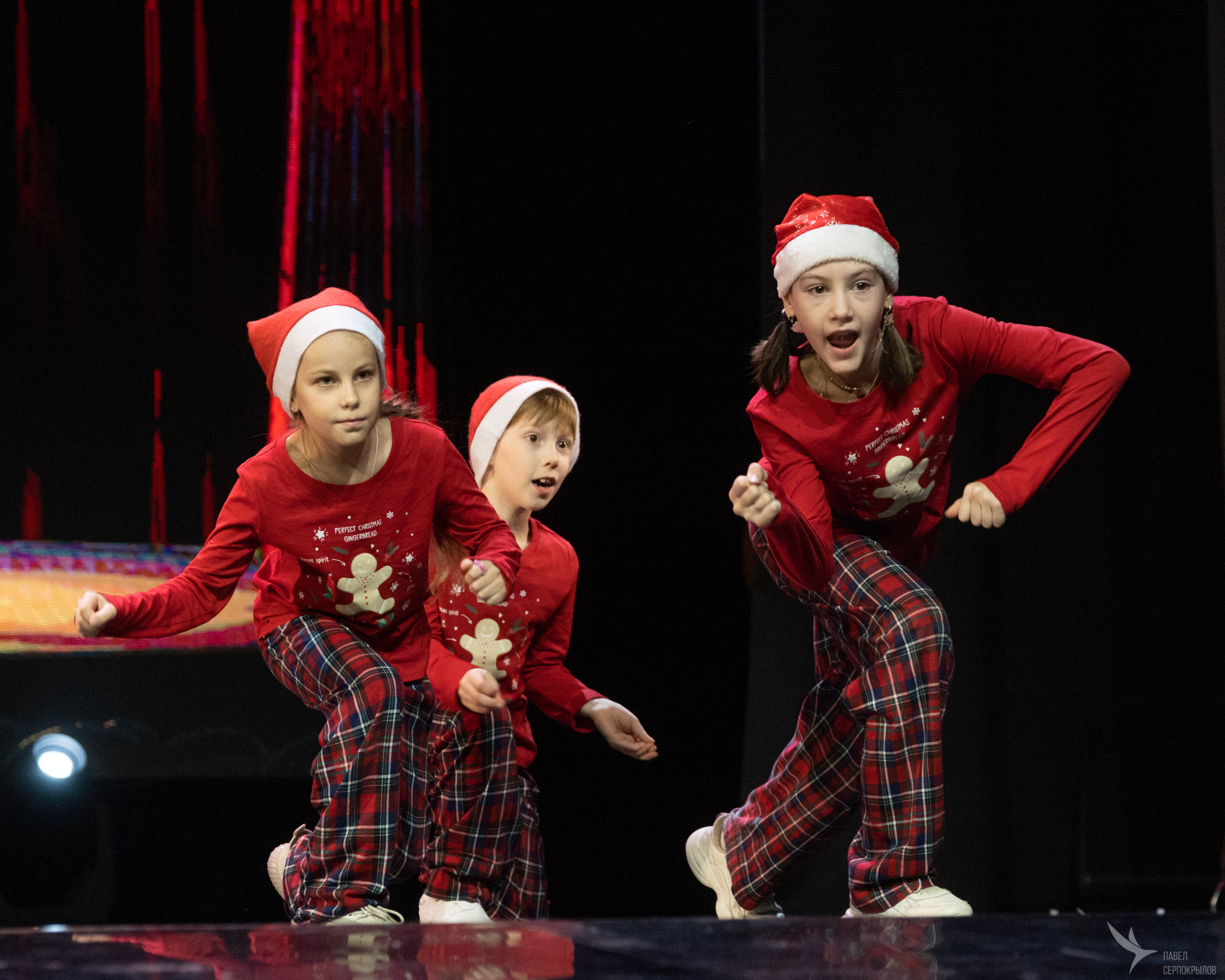 Зверопой. Репортажный фотограф в Казани Павел Серпокрылов