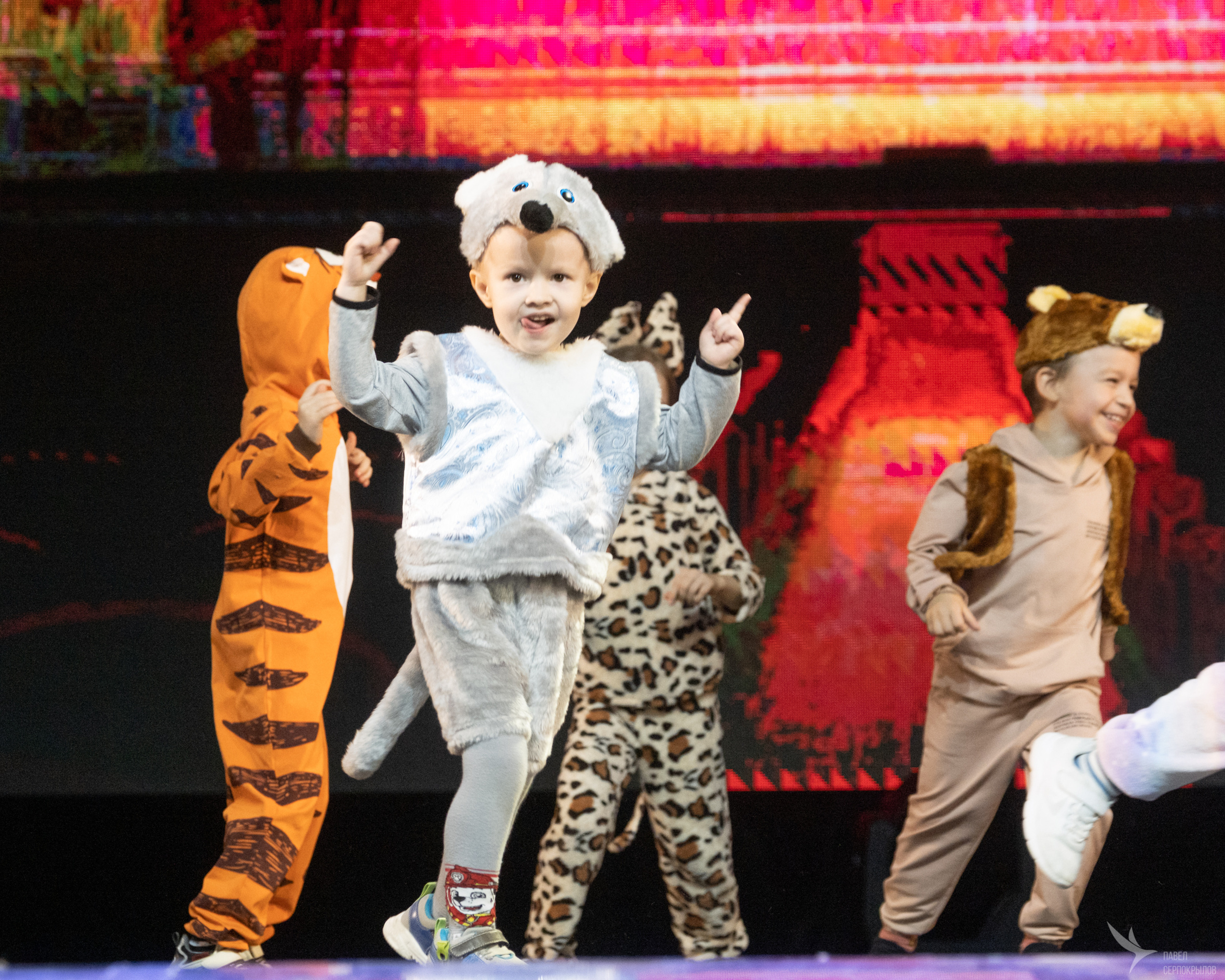 Зверопой. Репортажный фотограф в Казани Павел Серпокрылов