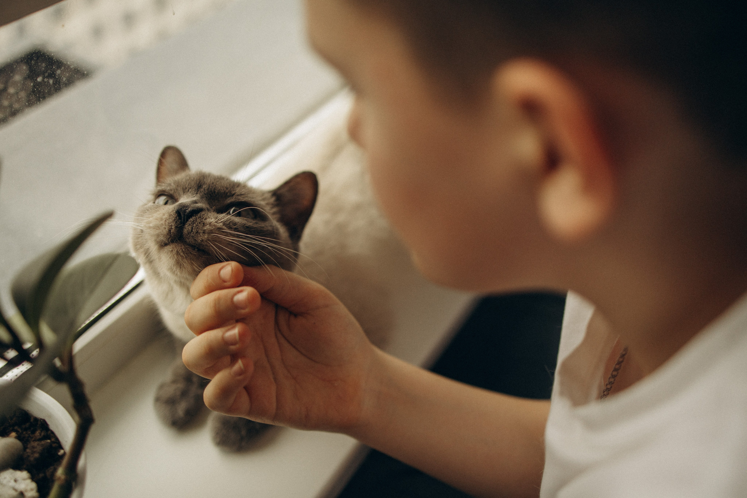 ♡ Семья ♡. Фотограф в Южно-Сахалинске