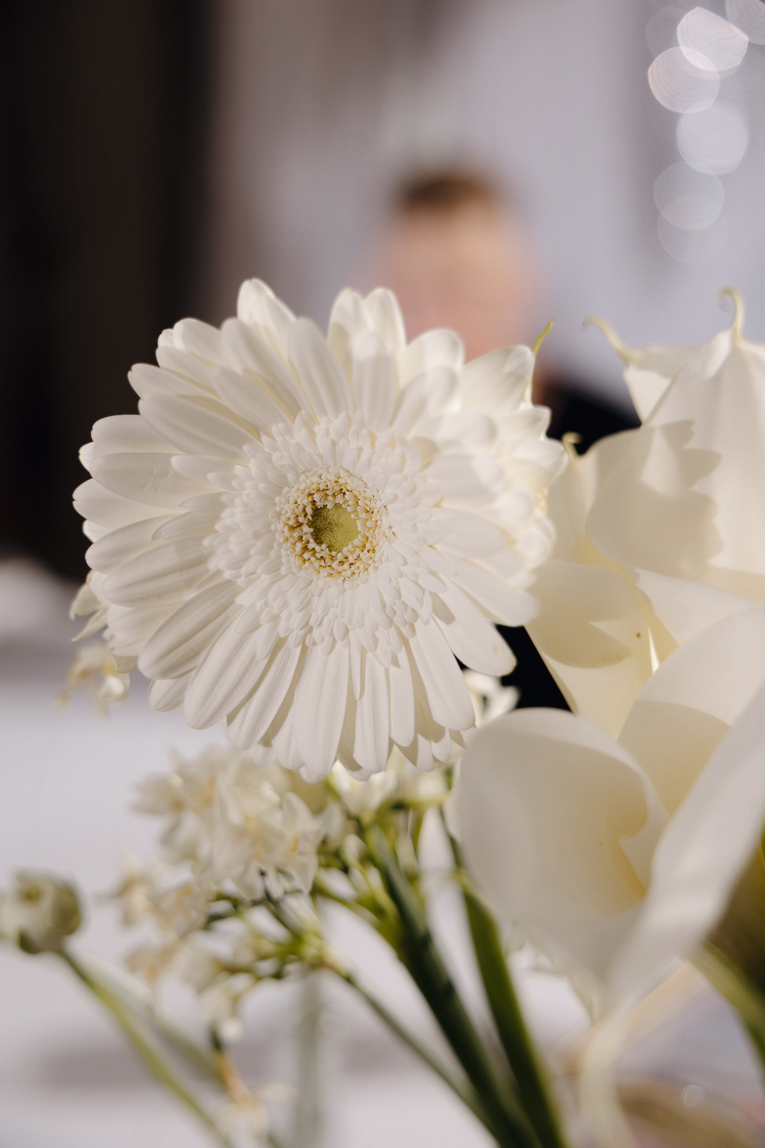 НАТАЛЬЯ И ДМИТРИЙ, БАДЕН БАДЕН. Свадебный и индивидуальный фотограф в Челябинске Евгения Негодяева
