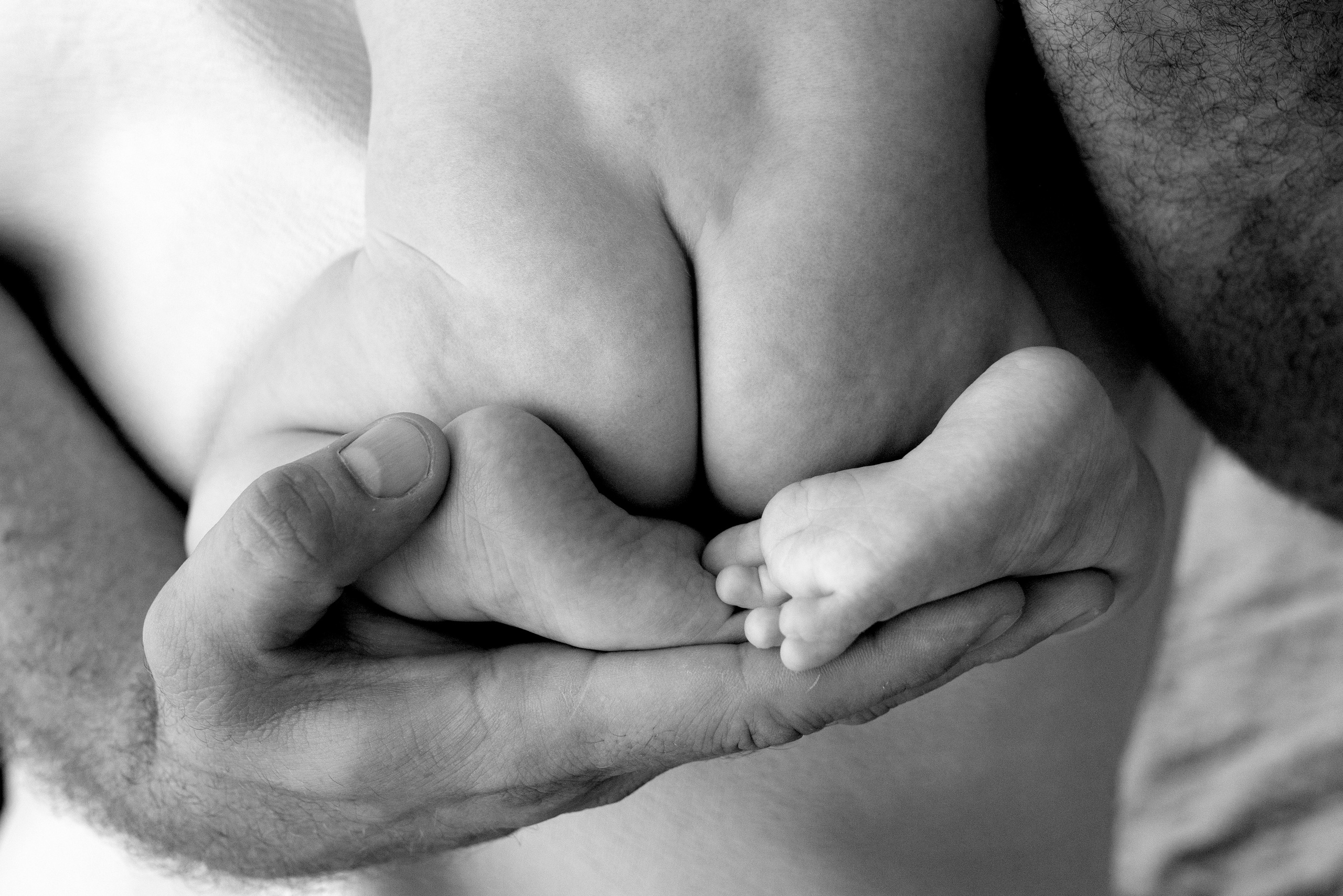 4 месяца (life)