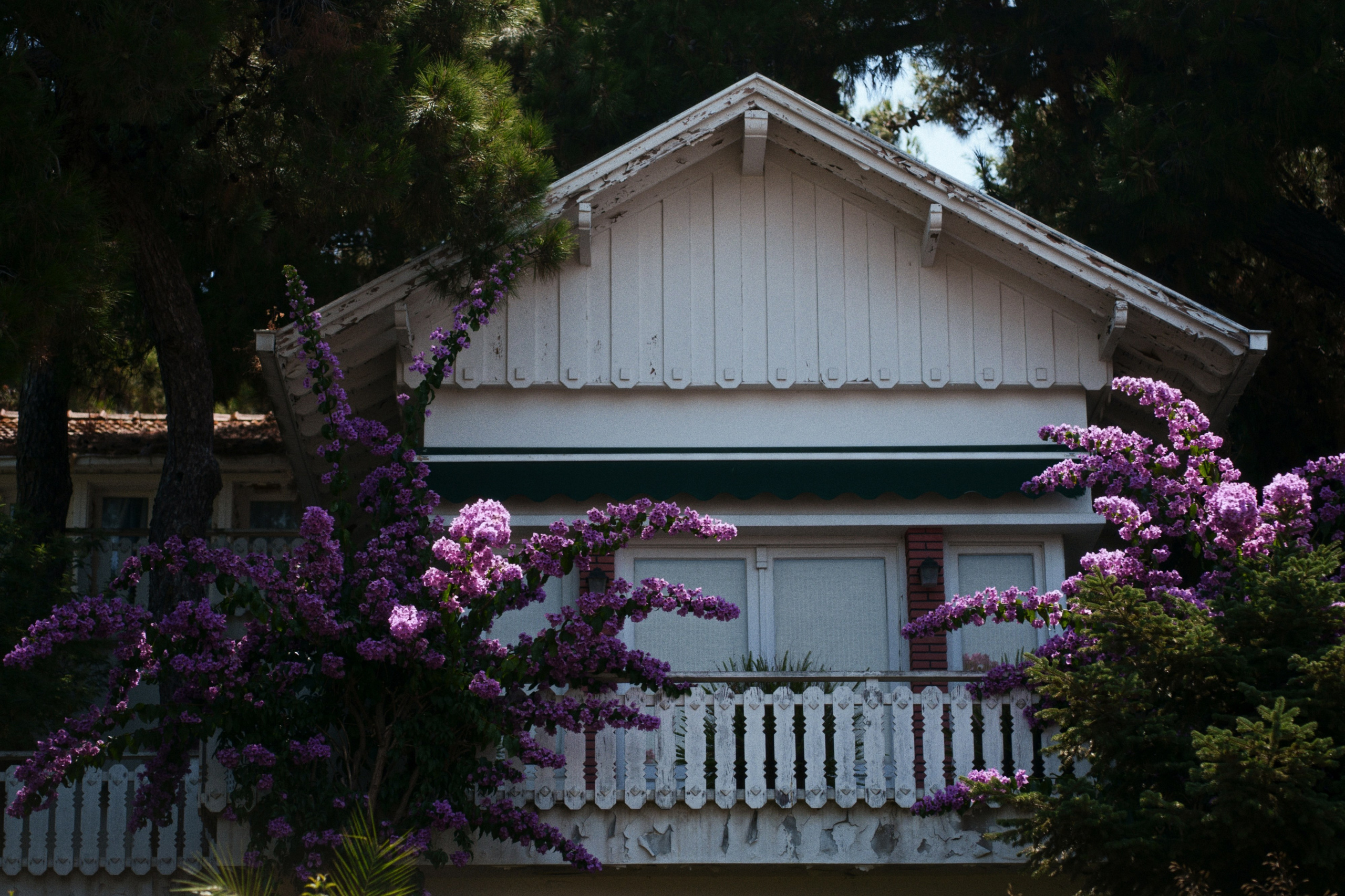 Büyükada х Heybeliada, Istanbul / Türkey SS25. Фотограф Юрин Евгений