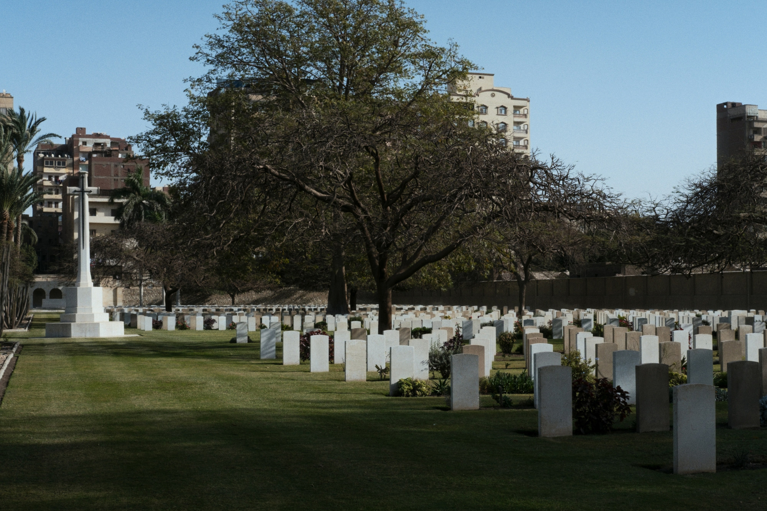 War Memorial Cemetery / Cairo, Egypt AW25. Фотограф Юрин Евгений