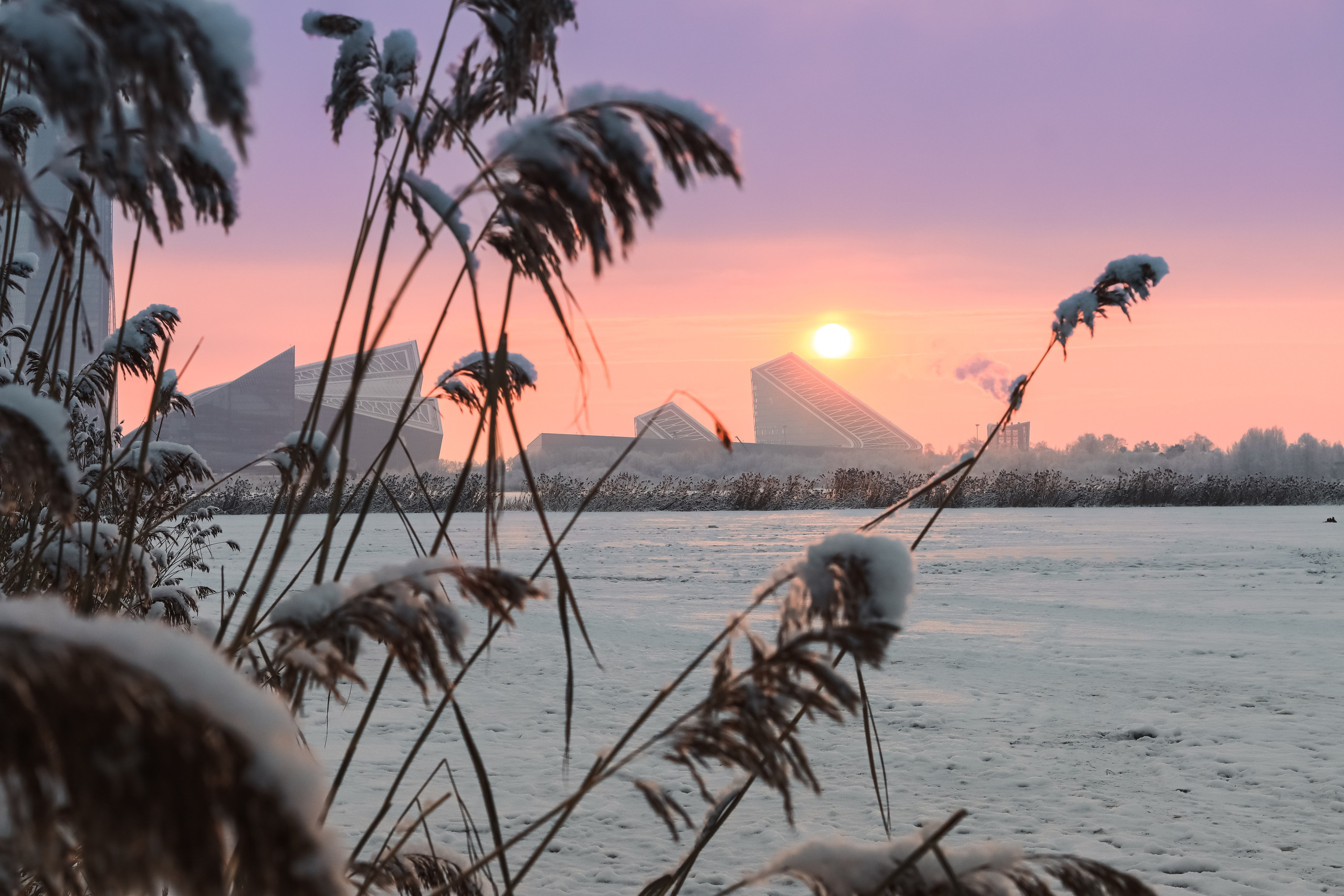 Берег озера Лахтинского разлива. Фотограф | Данил Шукан | Санкт-Петербург