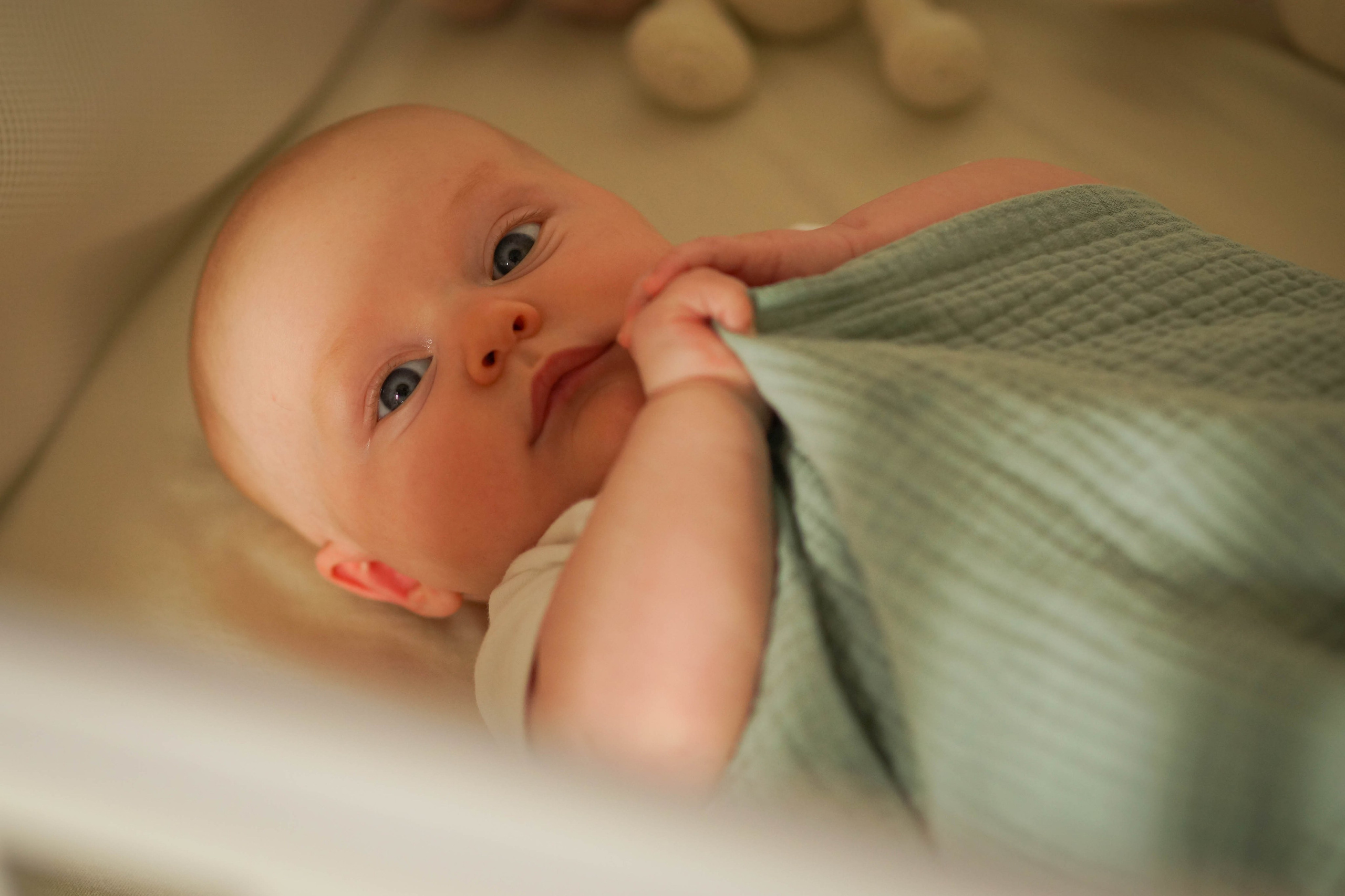 Семья Сабины. Семейный и детский фотограф Троицк Москва