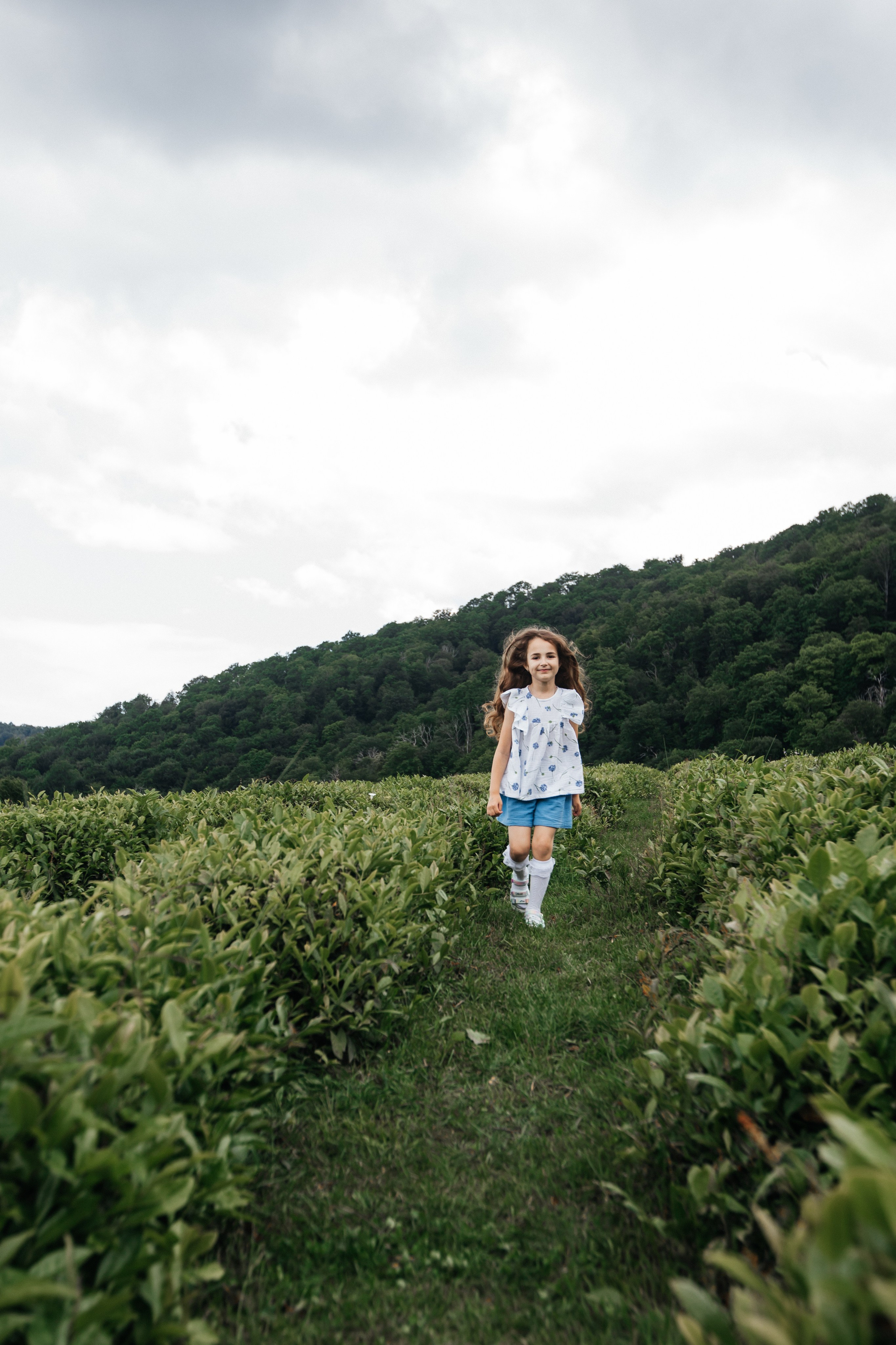 Tea plantation. Efimova Model Agency