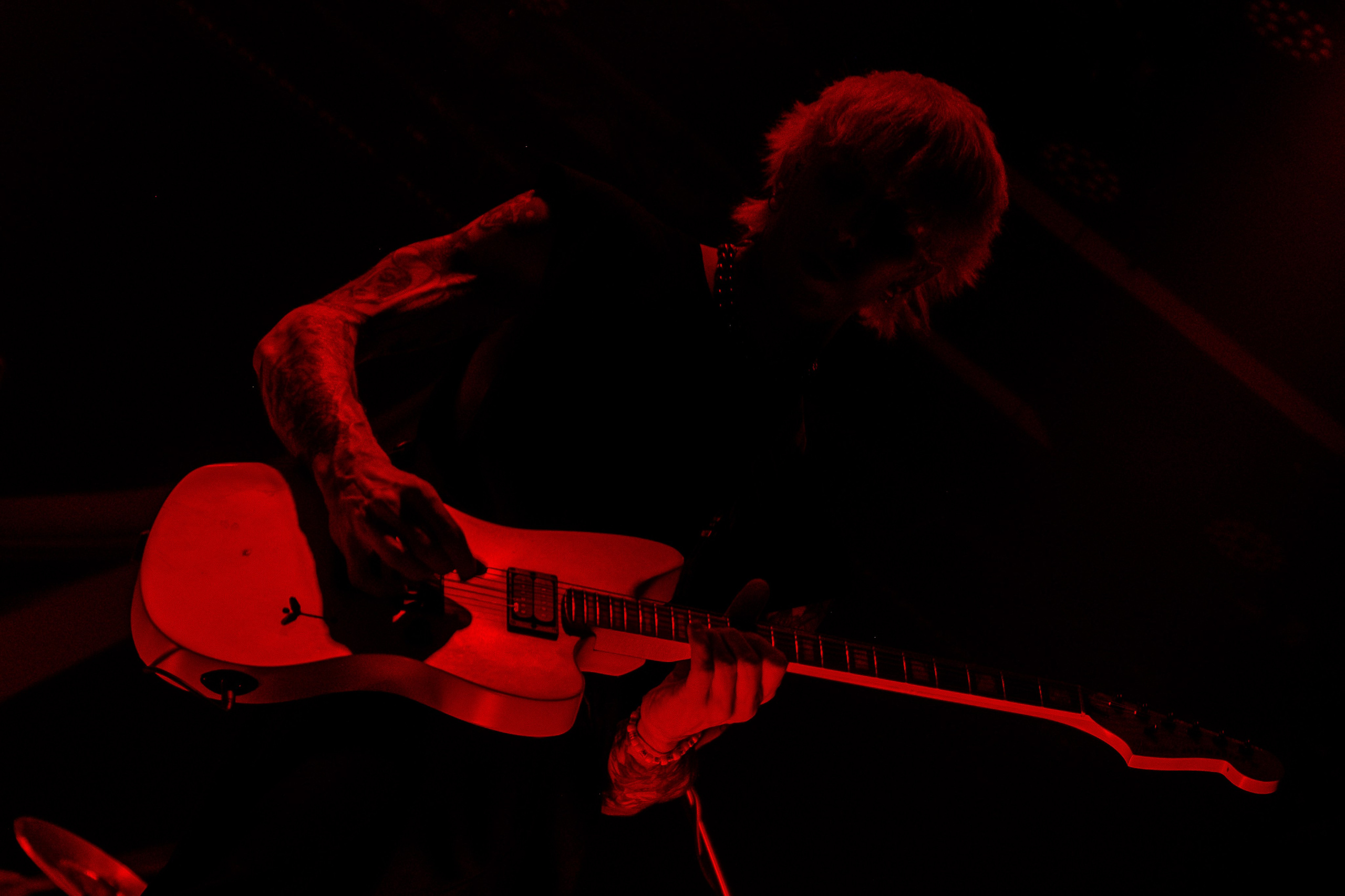 Wildways, Sound, 16.11.24. Репортажный фотограф, Санкт-Петербург