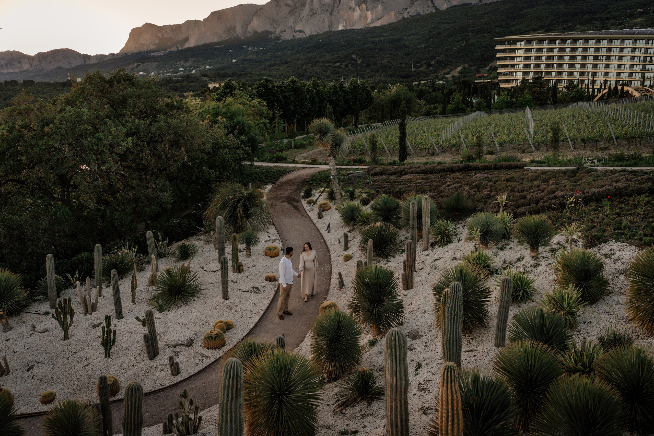 Винный парк (территория отеля Мрия). Фотограф и Видеограф Севастополь Крым