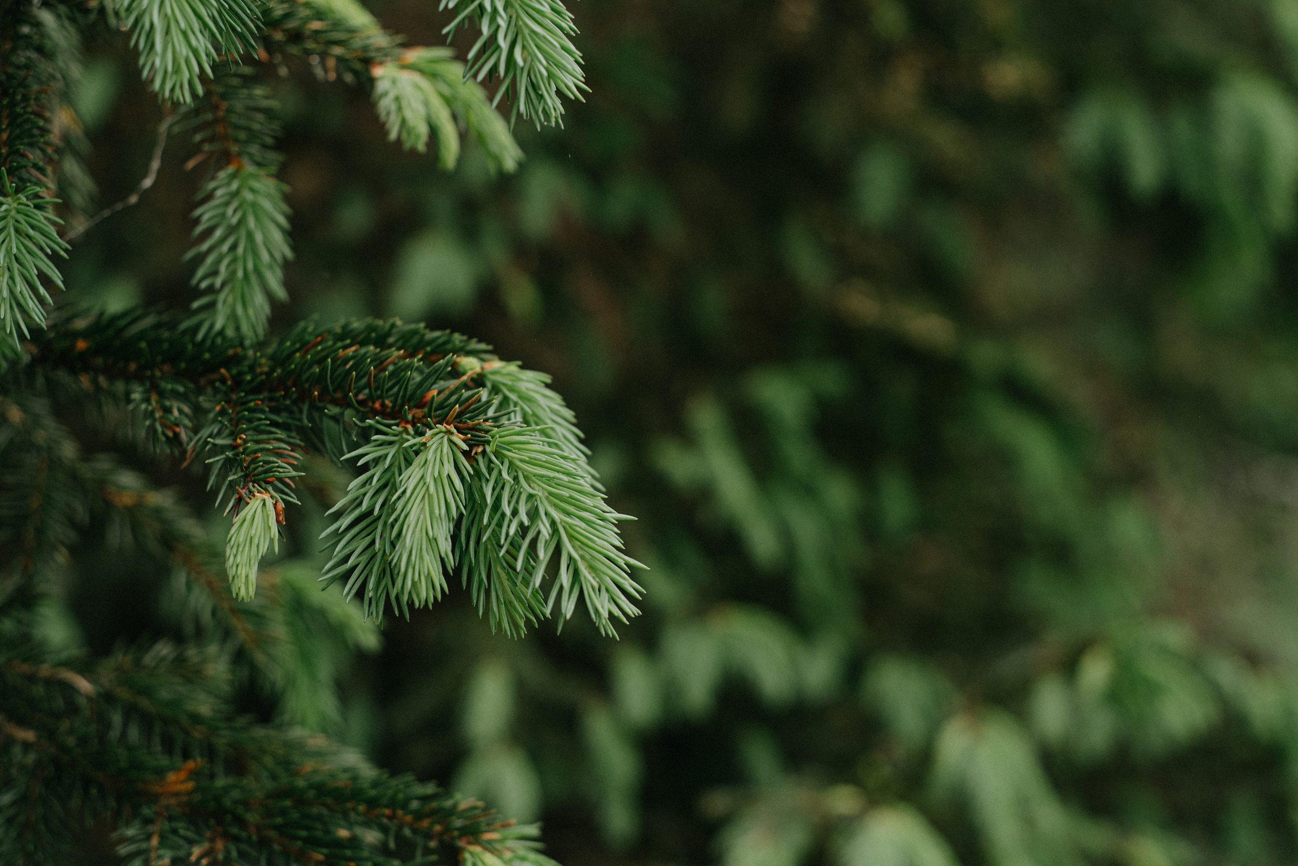 Природа. Мотофотограф в Нижнем Новгороде Динара Зуйкова