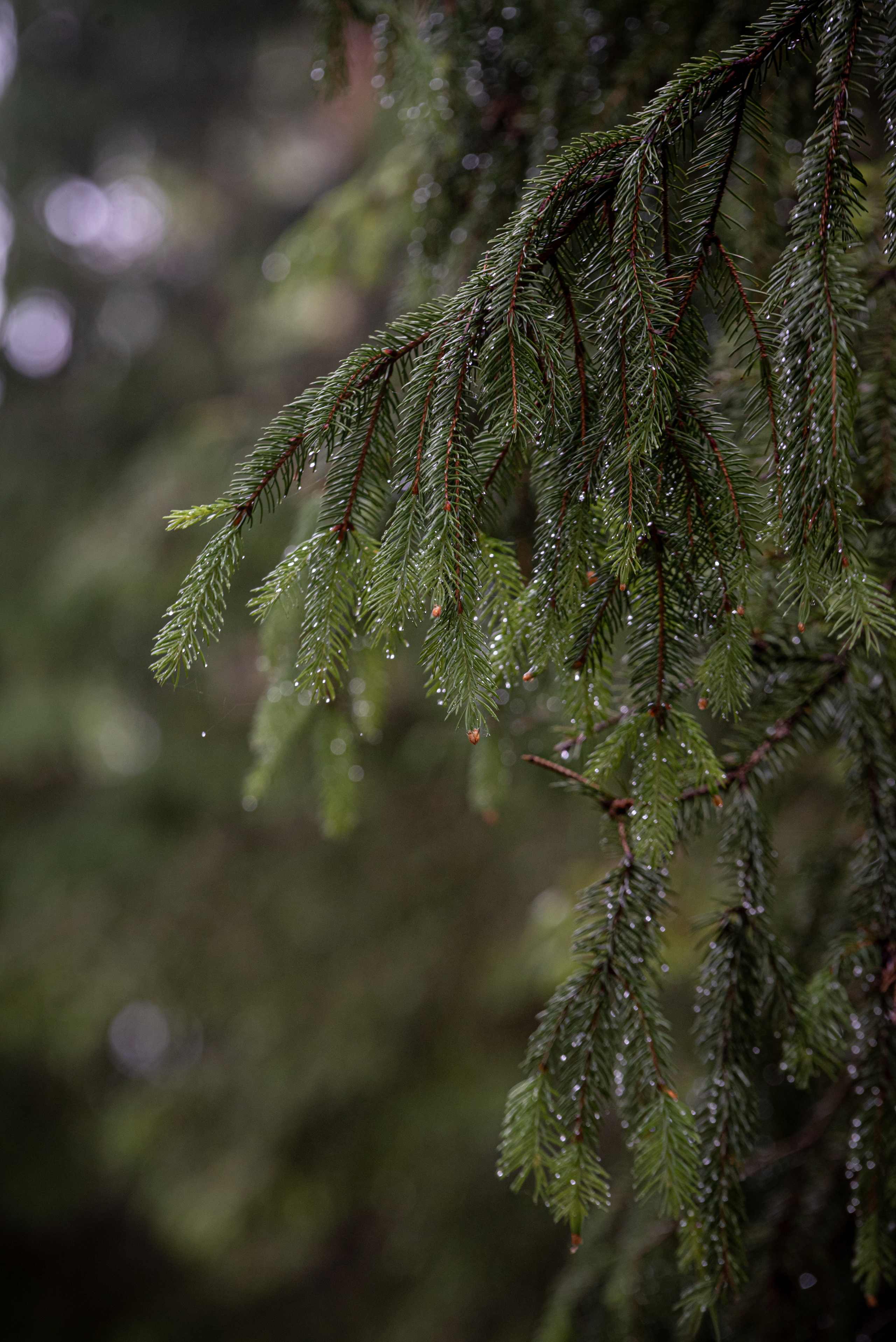 Природа. Мотофотограф в Нижнем Новгороде Динара Зуйкова