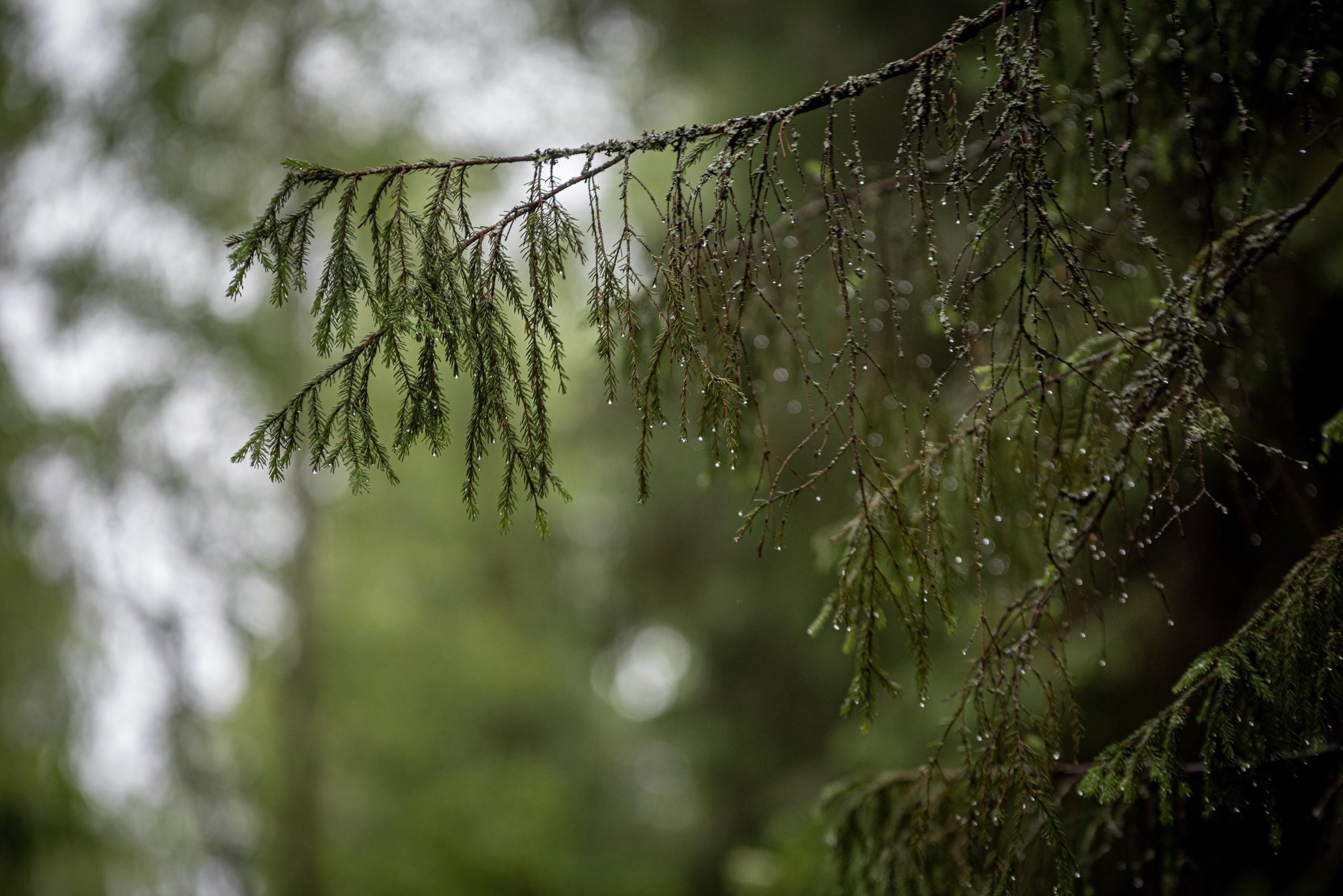 Природа. Мотофотограф в Нижнем Новгороде Динара Зуйкова