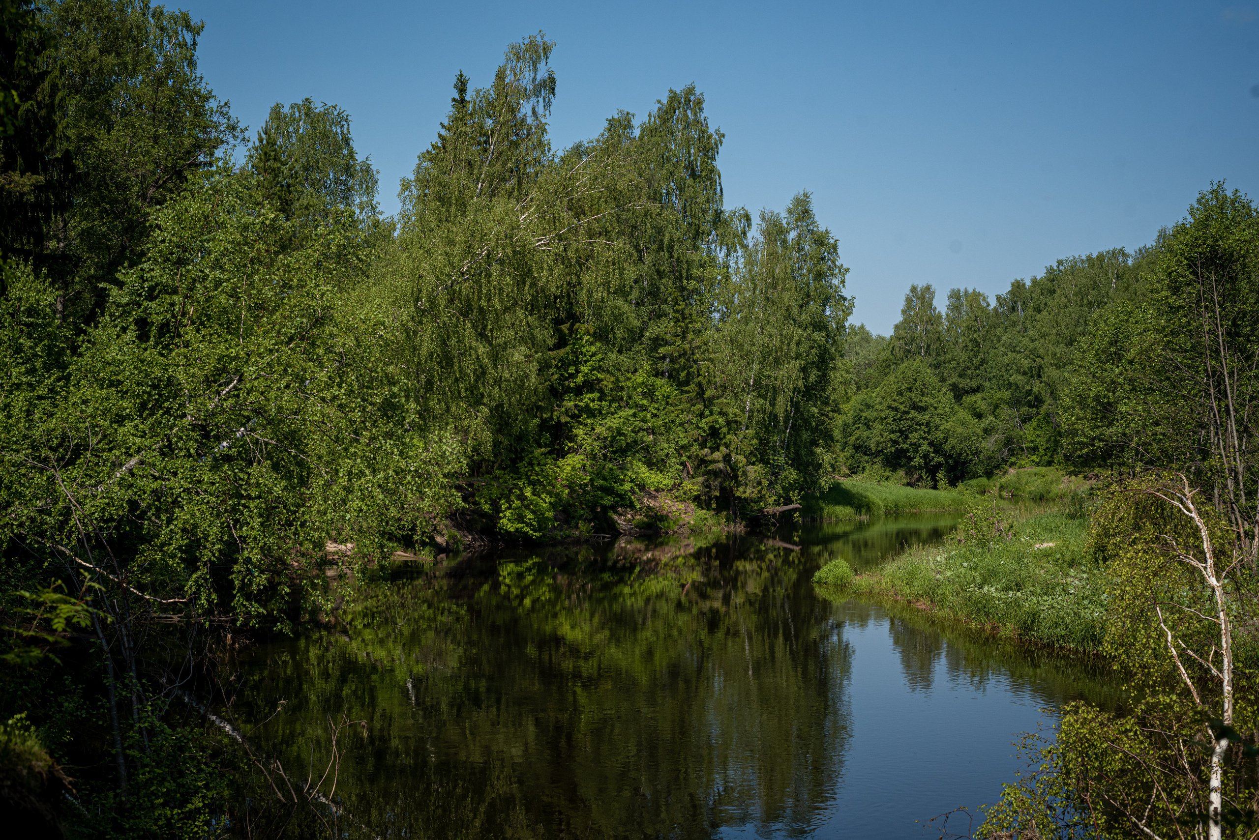 Природа. Мотофотограф в Нижнем Новгороде Динара Зуйкова
