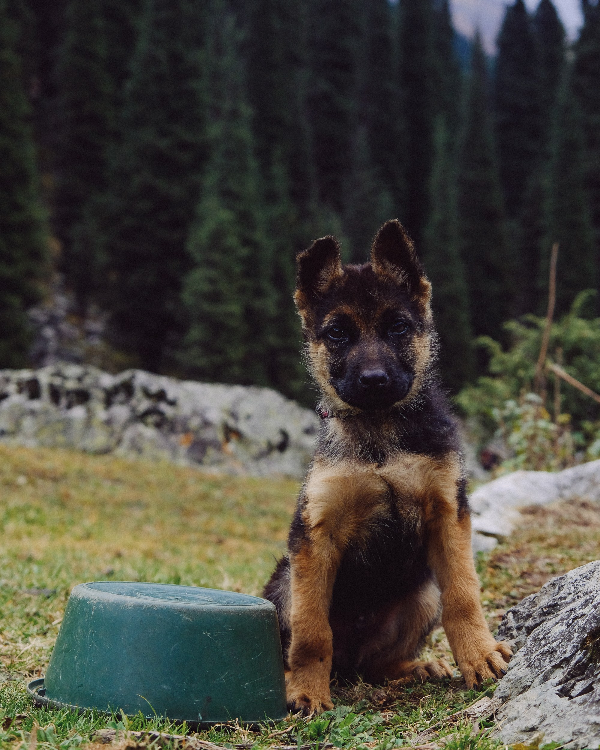 Кыргызстан. Фотограф Дмитрий Олрайт | Калуга, Россия