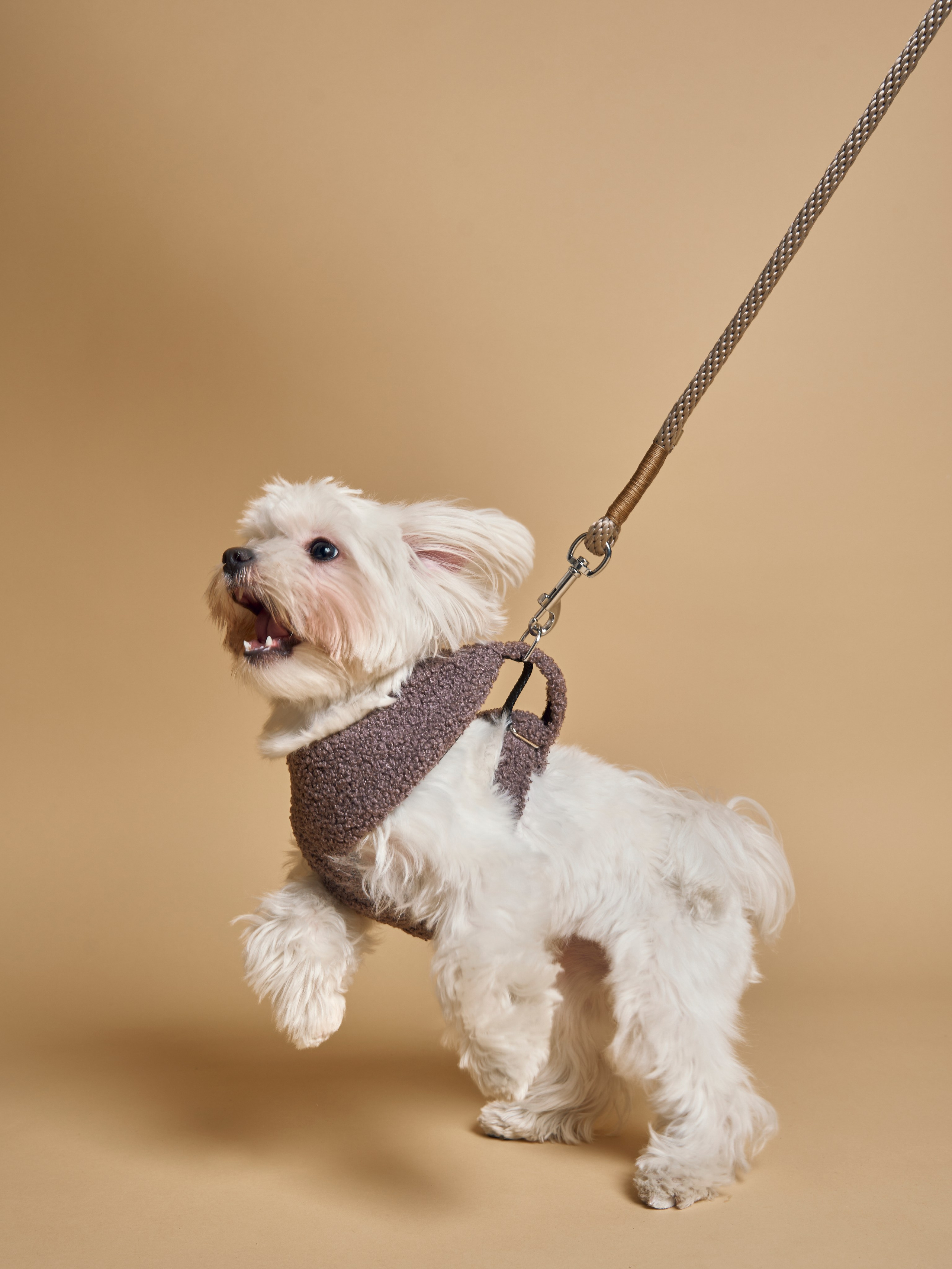 TEDDY’S treasures commercial. Anastasia Patshina