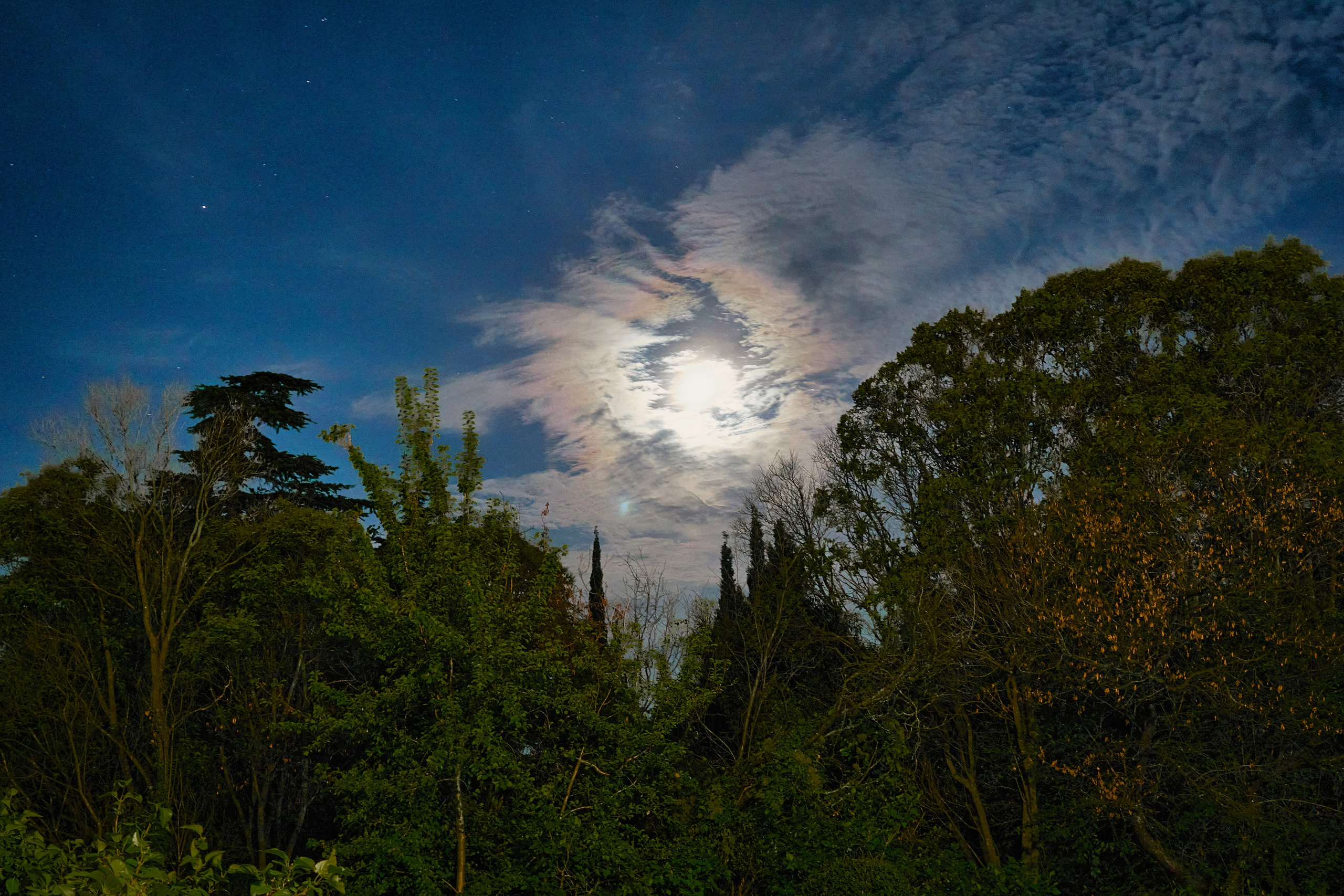 Ялта. Крым. Фотограф Владимир Артамонов