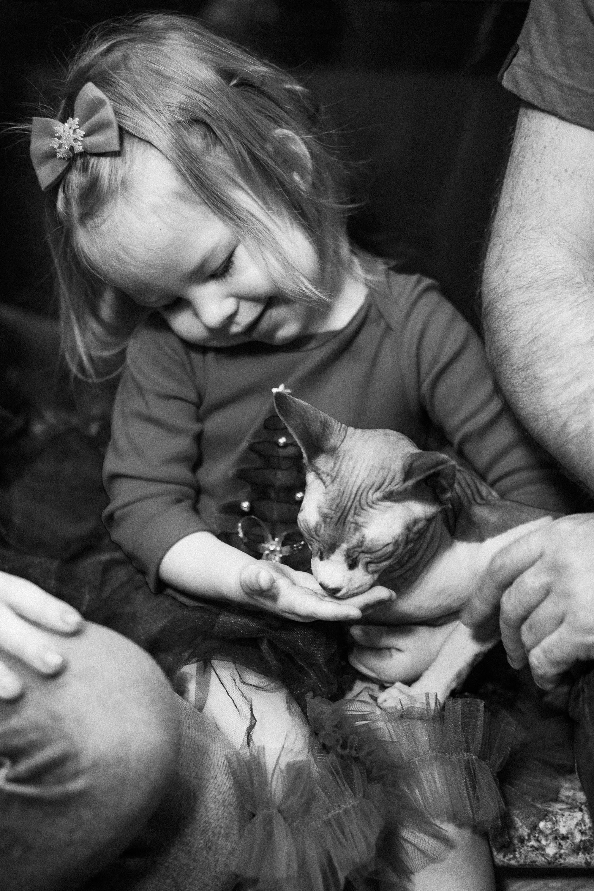 Домашняя съемка для Людмилы, Александра и Ангелины. Женский семейный фотограф Тула Москва Захарова Анна