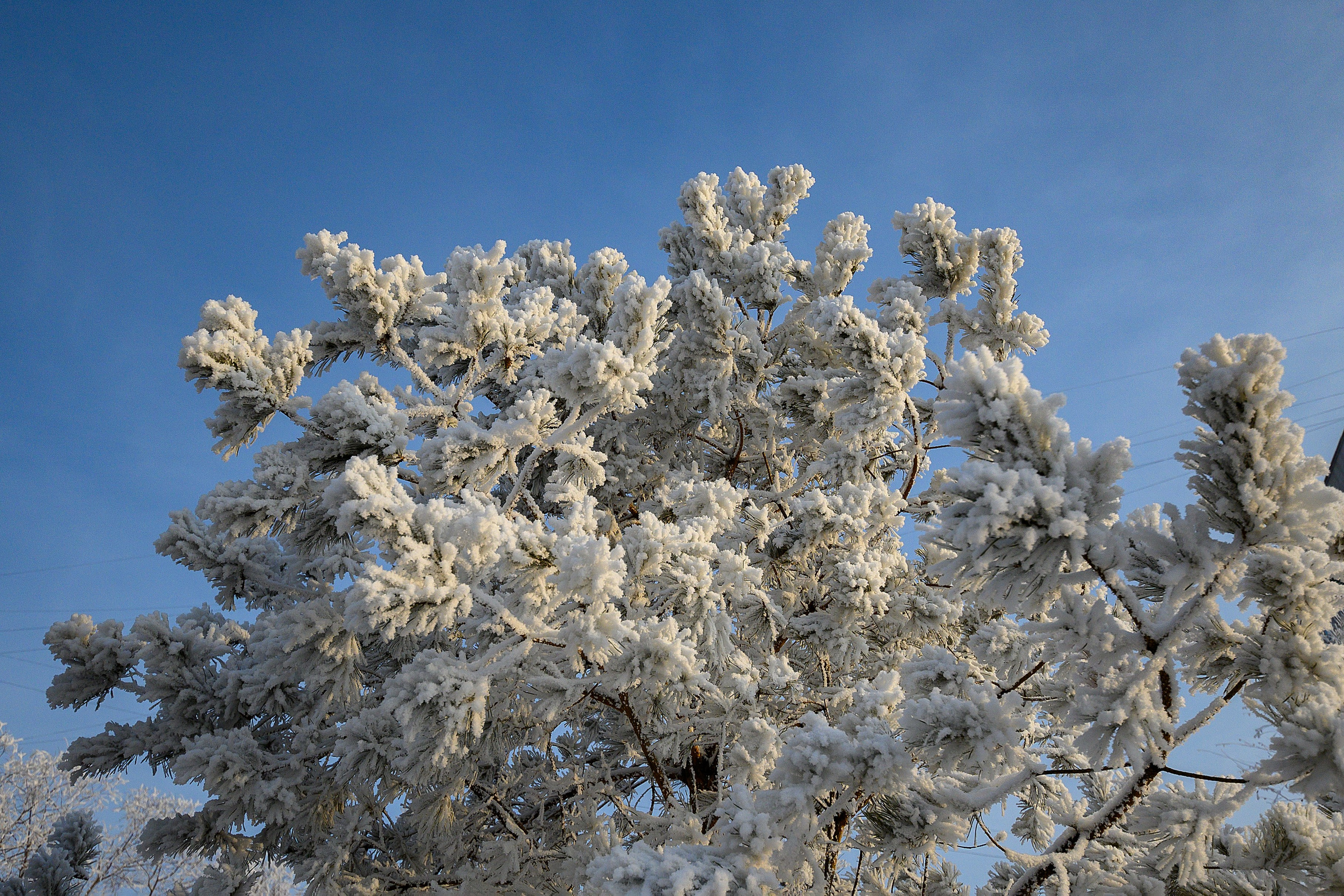 Сибирская зима прекрасна!. FotoGraf
