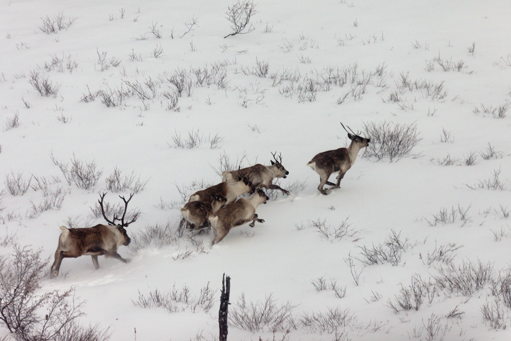 Якутия. Фотограф Алексей Скоробогатько