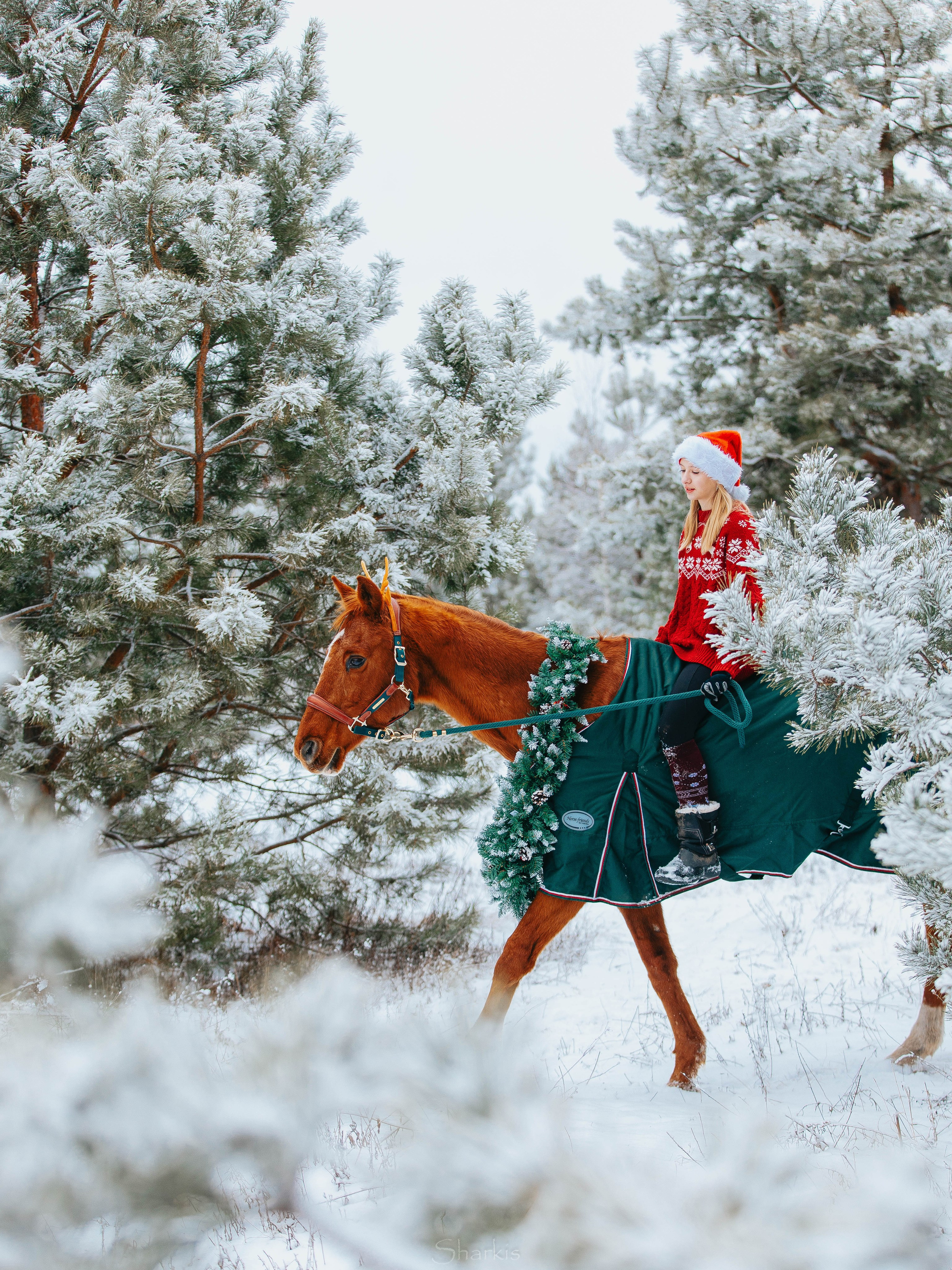 Фото день в ЧК «Орлёнок» — Новый год. Главная