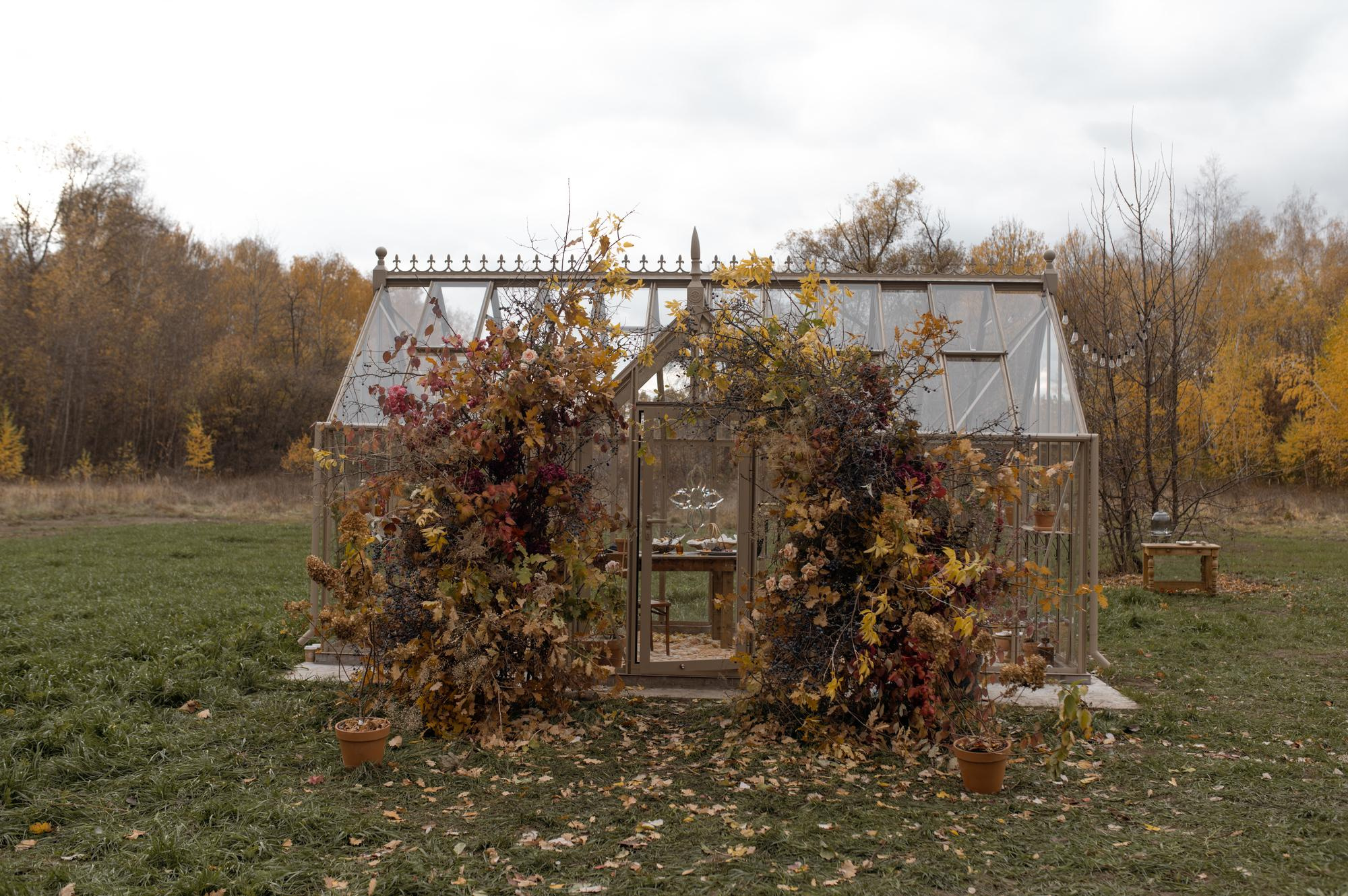 Осень в теплице. Свадебный фотограф в Санкт-Петербурге, Москве, СПб Сергей Поддубный