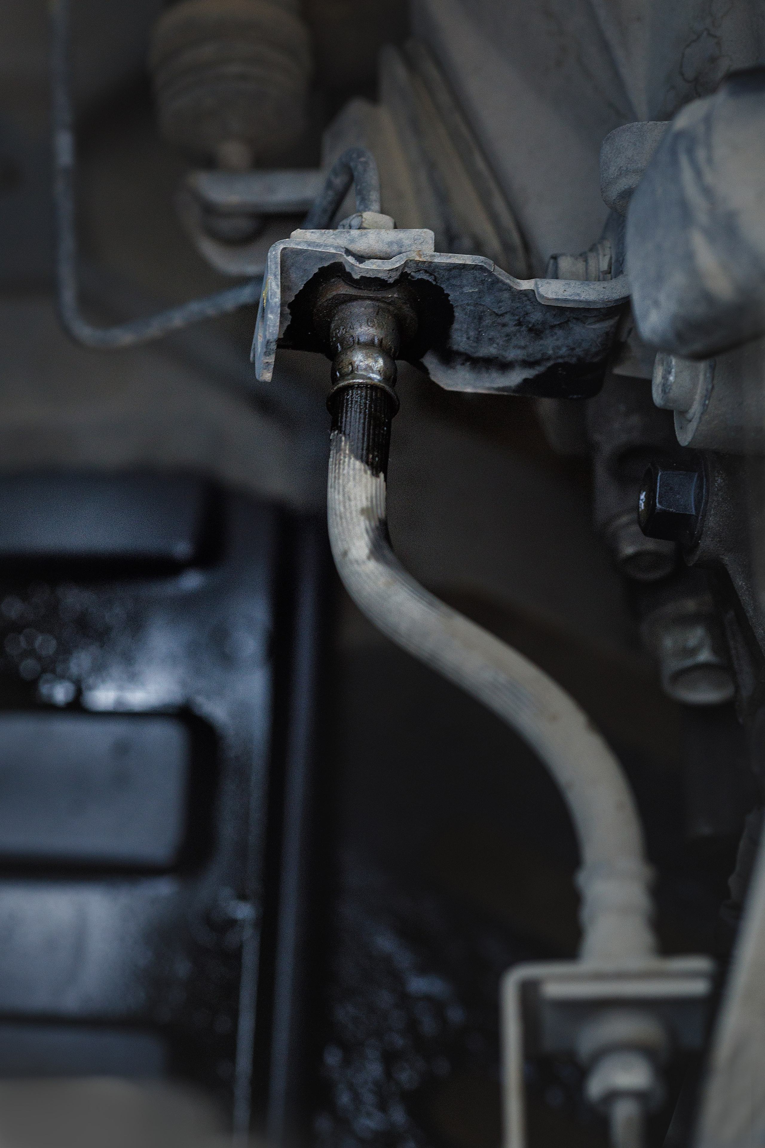 Проект «366»|2024|Фото каждый день. LENA GRACE photographer ||ЛЕНА ГРЭЙС фотограф