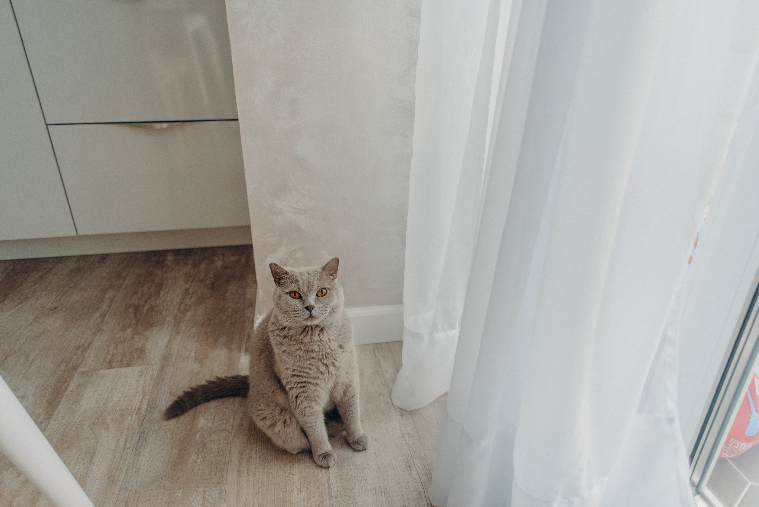 Мы пекли булочки. Семейный фотограф в Петрозаводске Ксения Крупская