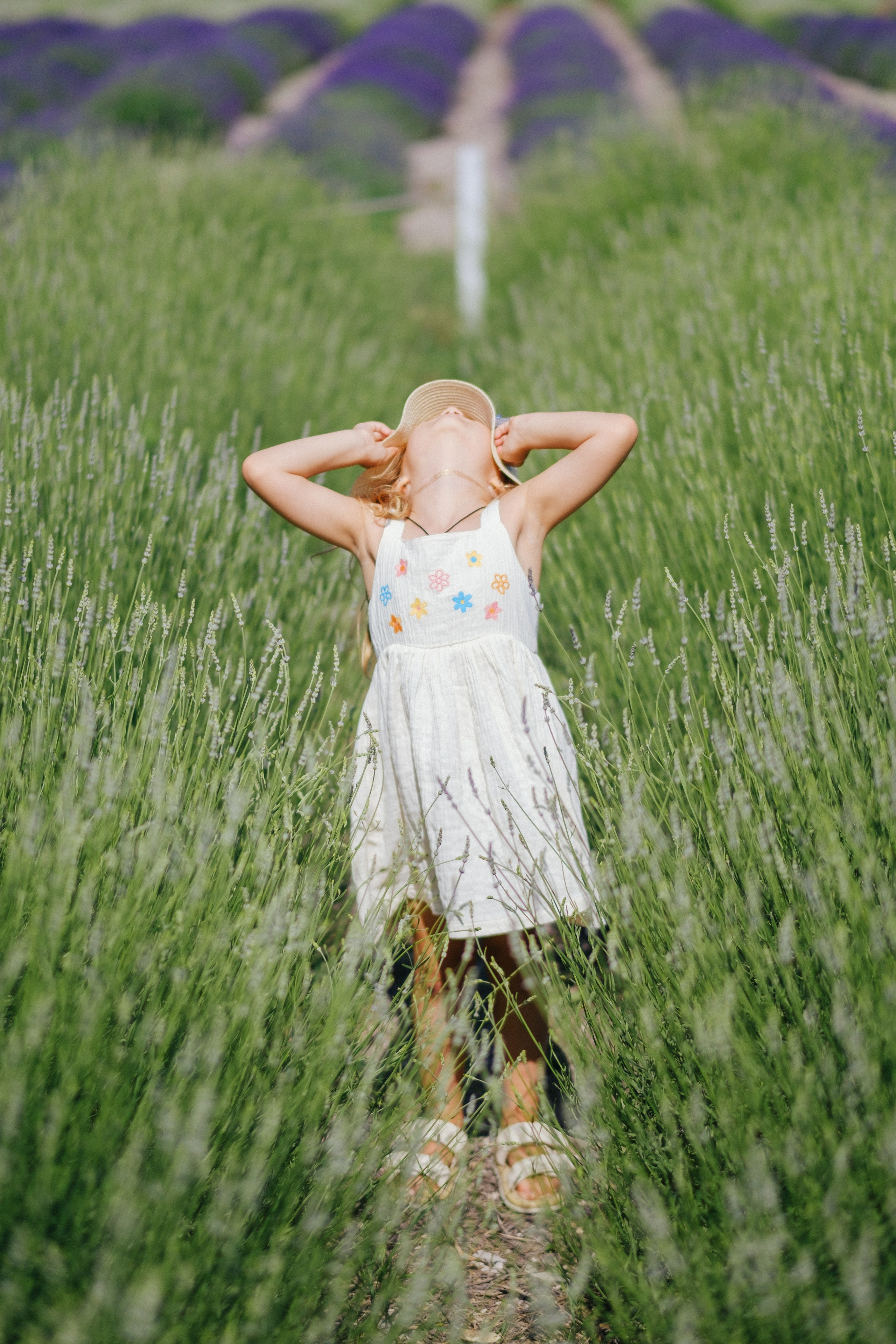 Лавандовые поля-Maison de Plantes. Свадебный Видеограф Фотограф в Сочи