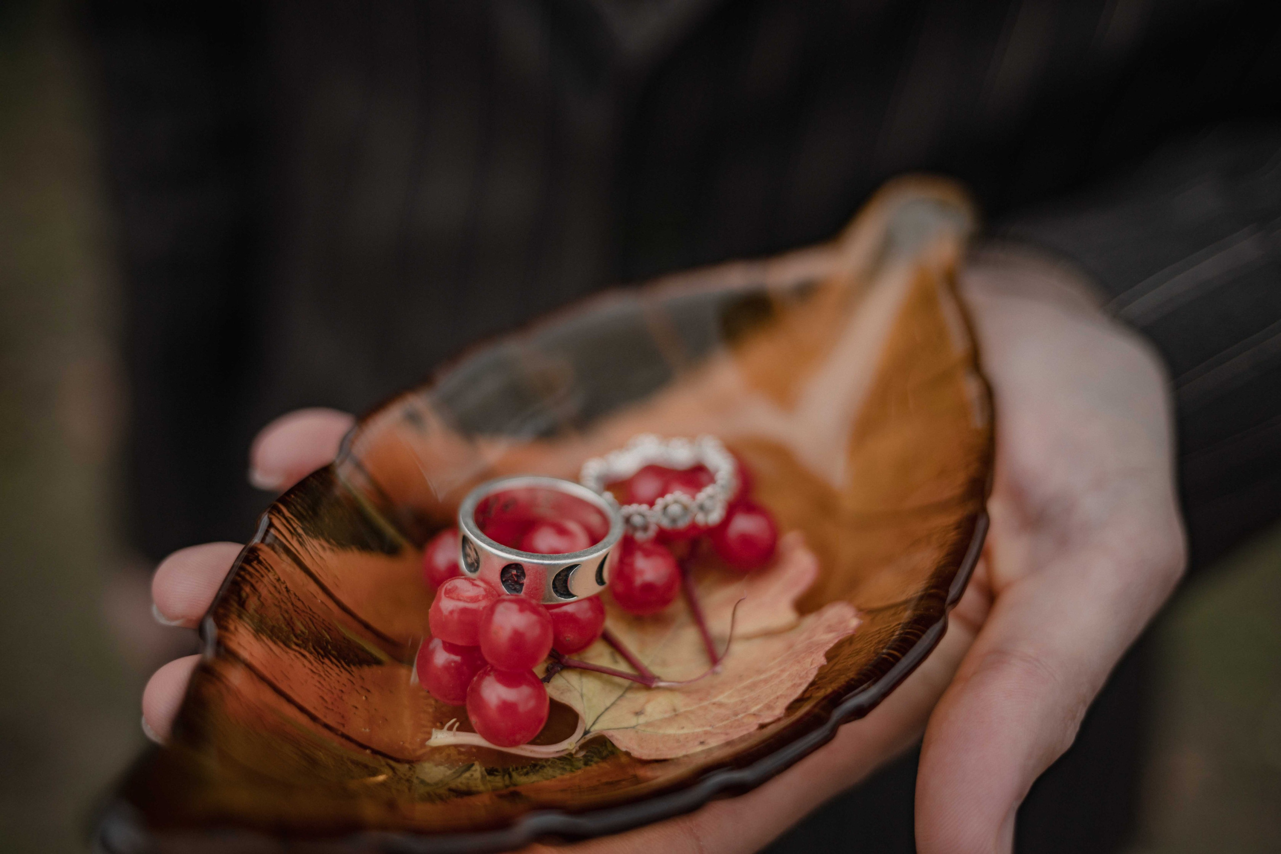 Глэмпинг сфера