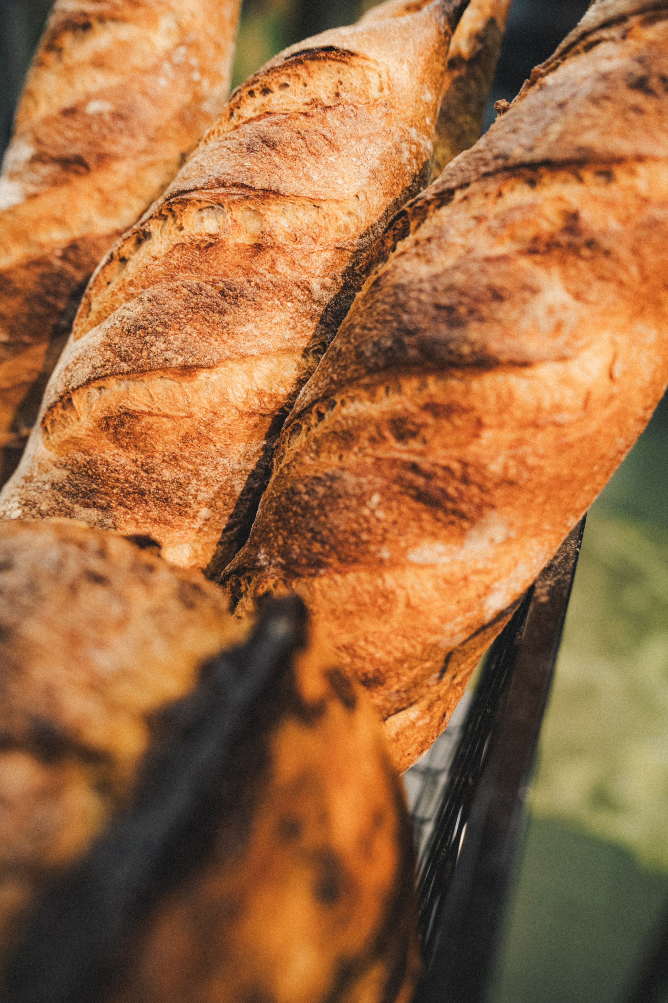 DNA. Фотограф Илья К. в Москве