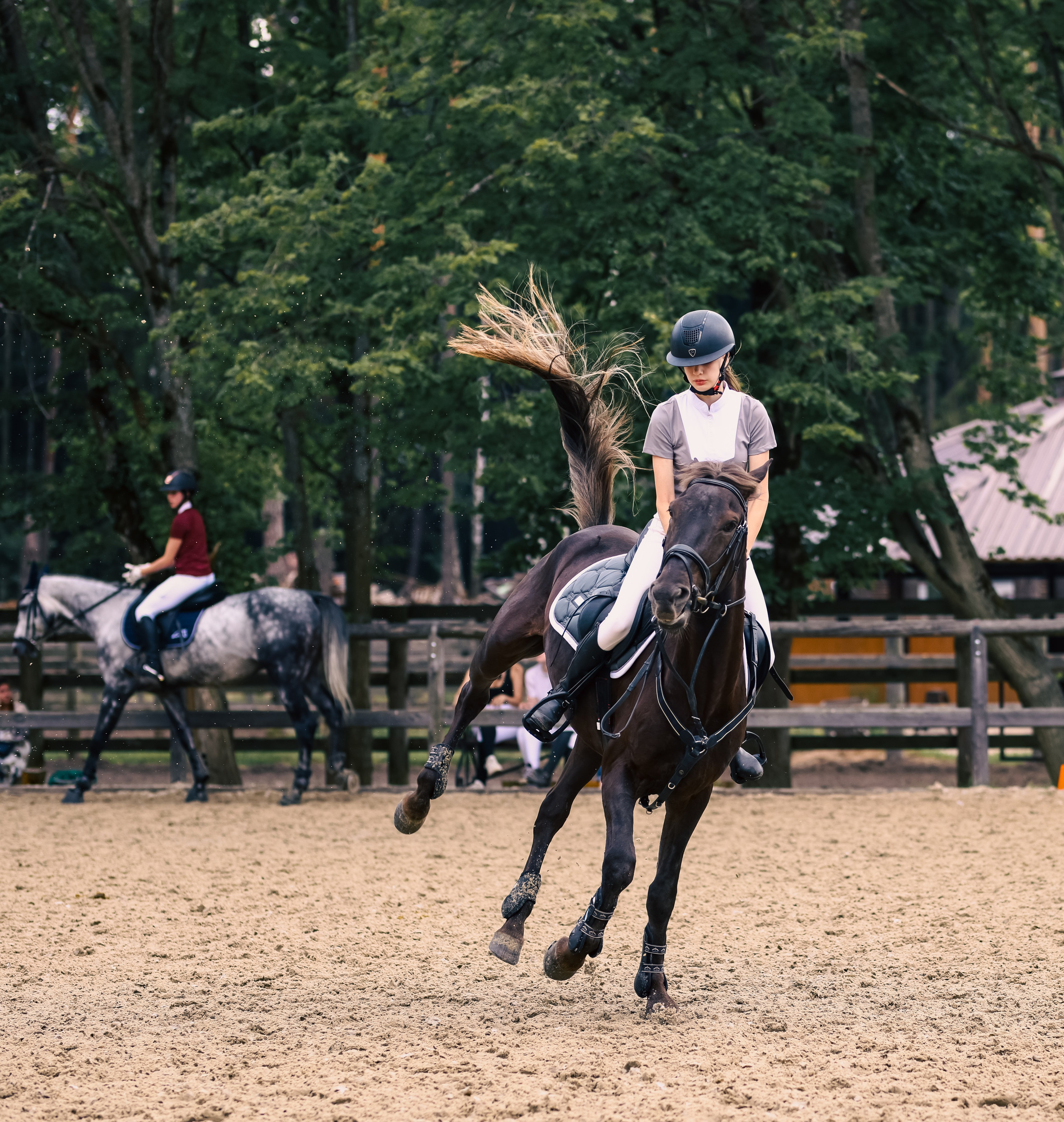 Соревнования по конному спорту. Фотограф репортажей и стритфотосессий в Москве Людмила Смирнова