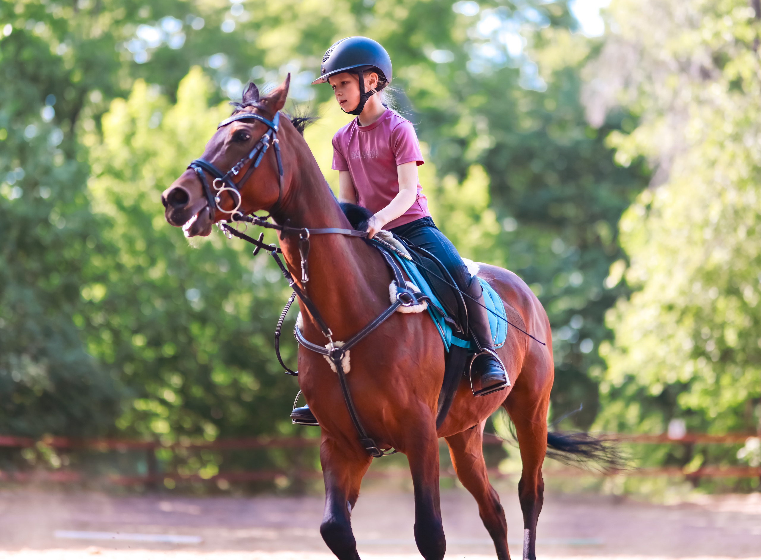 Корпоратив на конюшне. Фотограф репортажей и стритфотосессий в Москве Людмила Смирнова