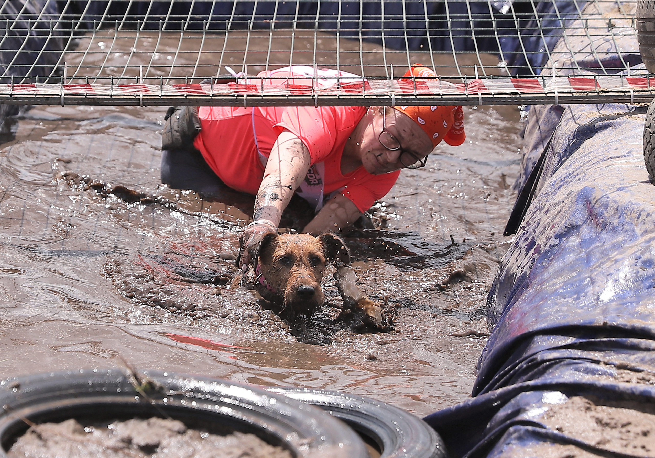 Хвостатый драйв. Семейный и детский фотограф в Москве и МО Елена Москвичева