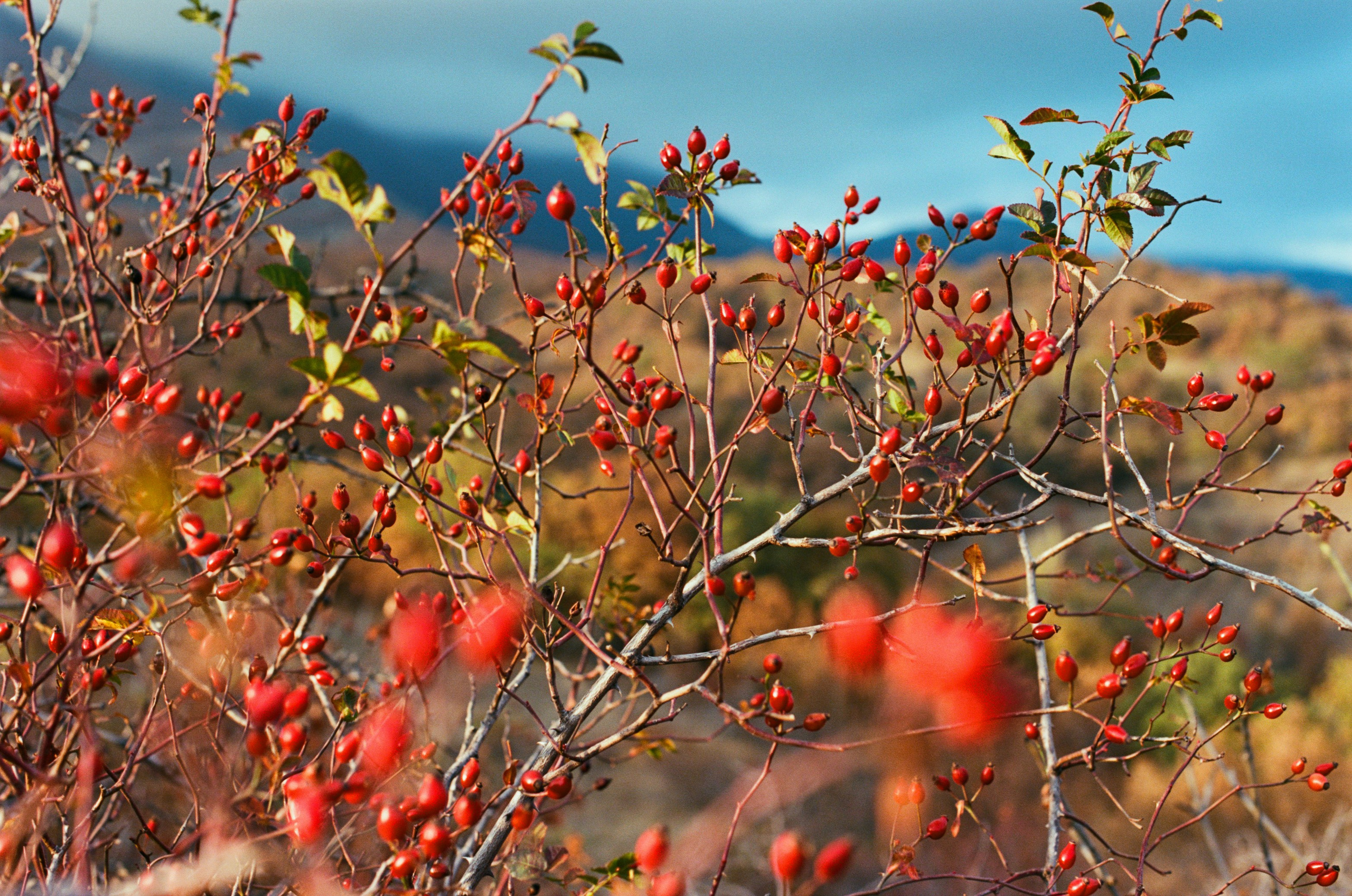 Wherever you will go // ukraine, crimea II. EVER EXPOSED