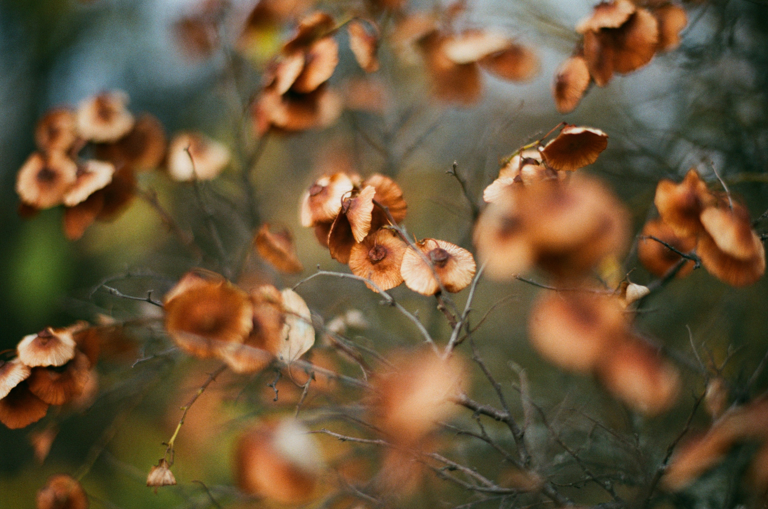 Wherever you will go // ukraine, crimea. EVER EXPOSED