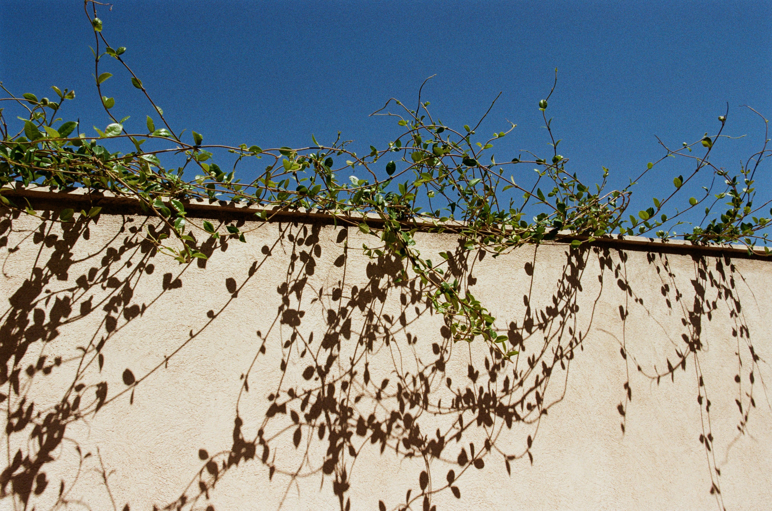 The contract // france, antibes. EVER EXPOSED