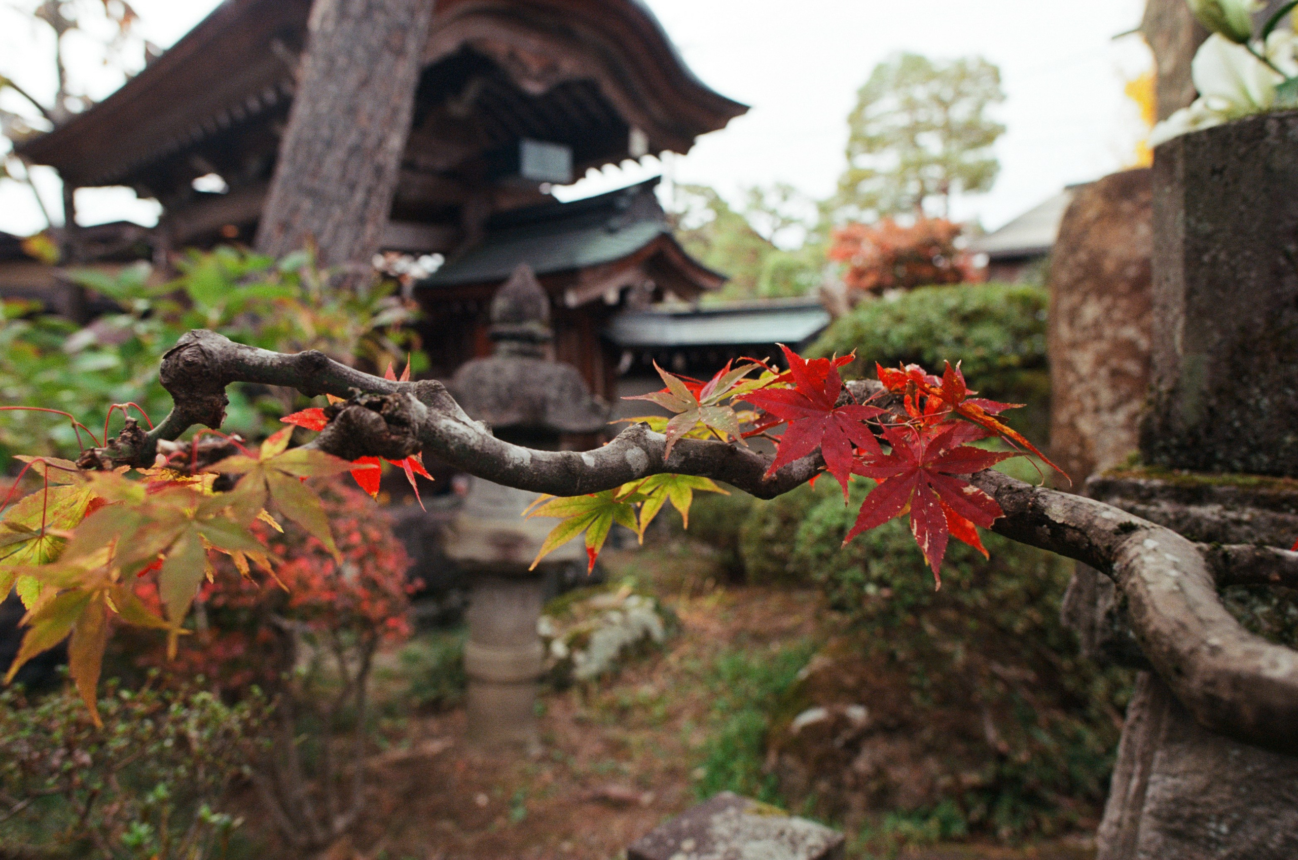 Out of noise // japan, takayama IV. EVER EXPOSED