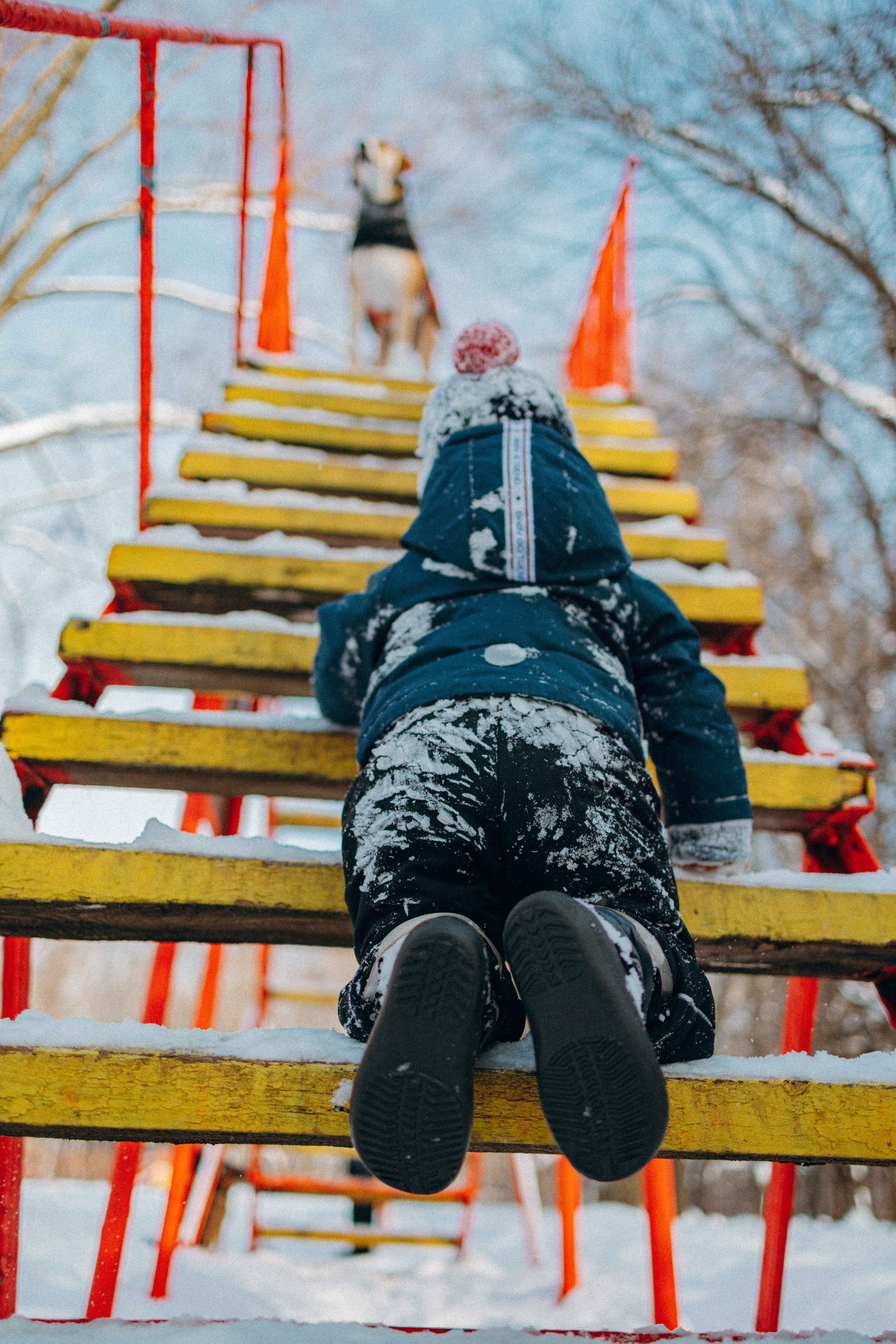 Свобода и ее семья. Фотограф-анималист в Москве Лера Черноног