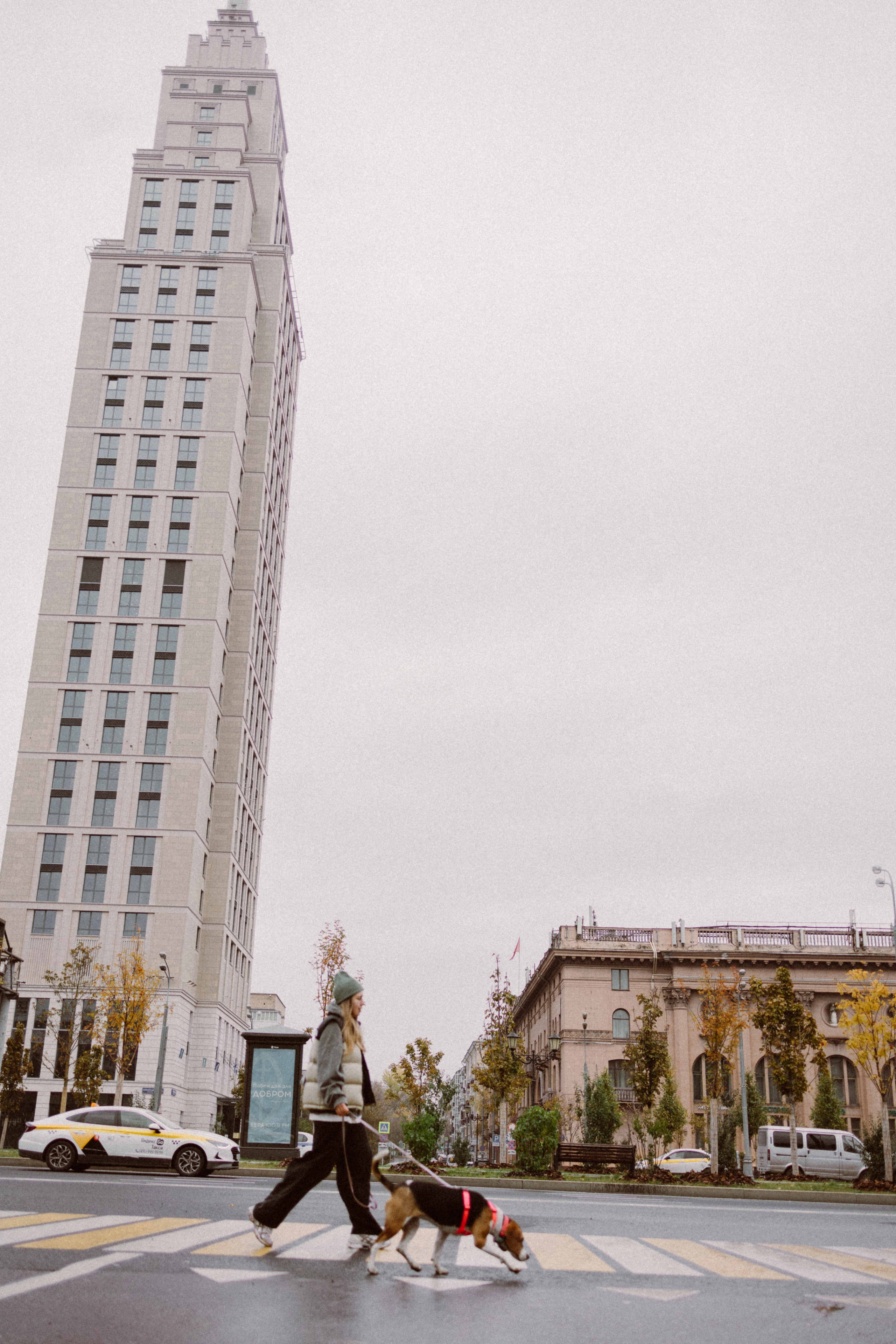 Света и Ива. Фотограф-анималист в Москве Лера Черноног