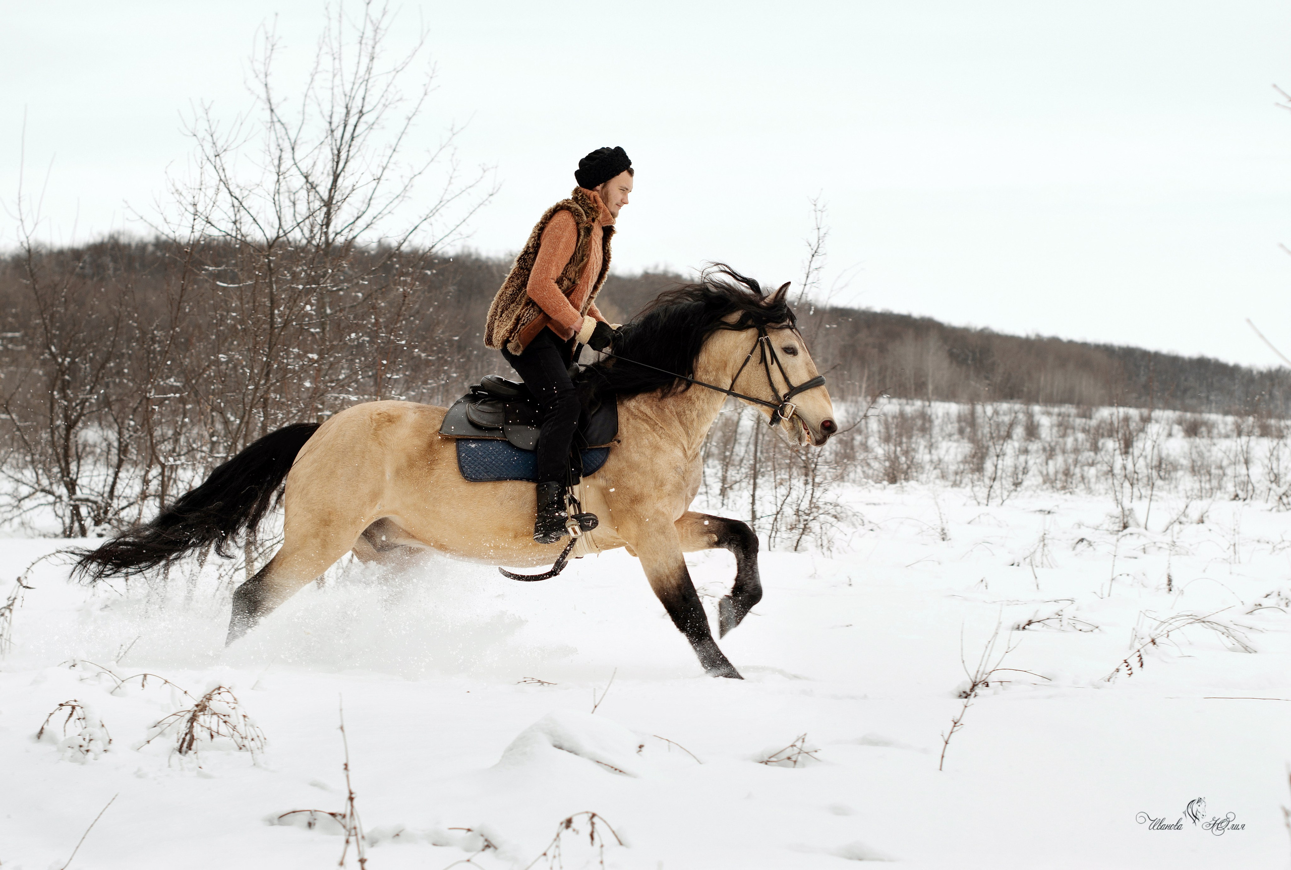 Геннадий и Тэзей. Конный фотограф в Саратове Юлия Иванова