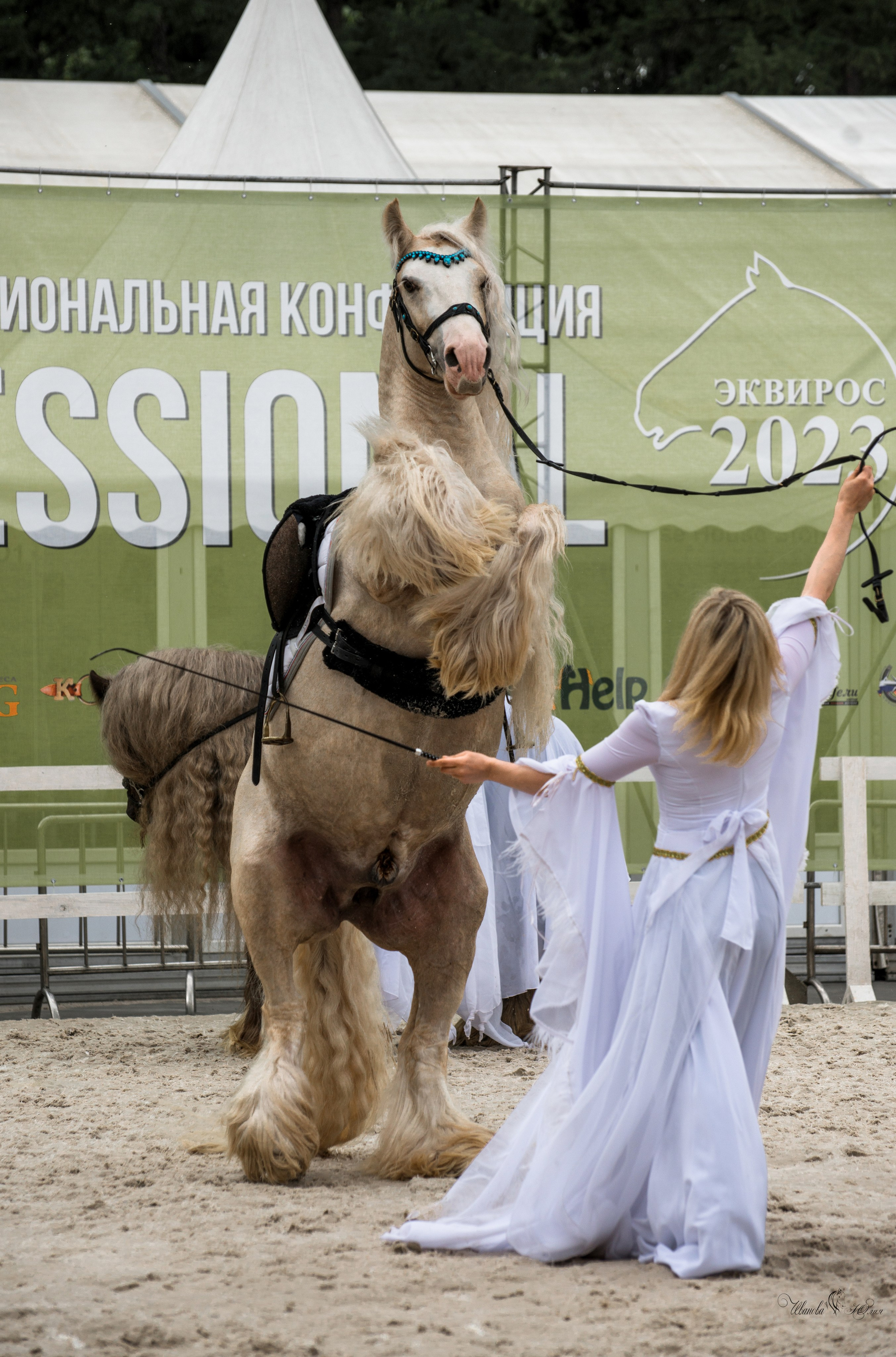 Эквирос, Москва. Конный фотограф в Саратове Юлия Иванова