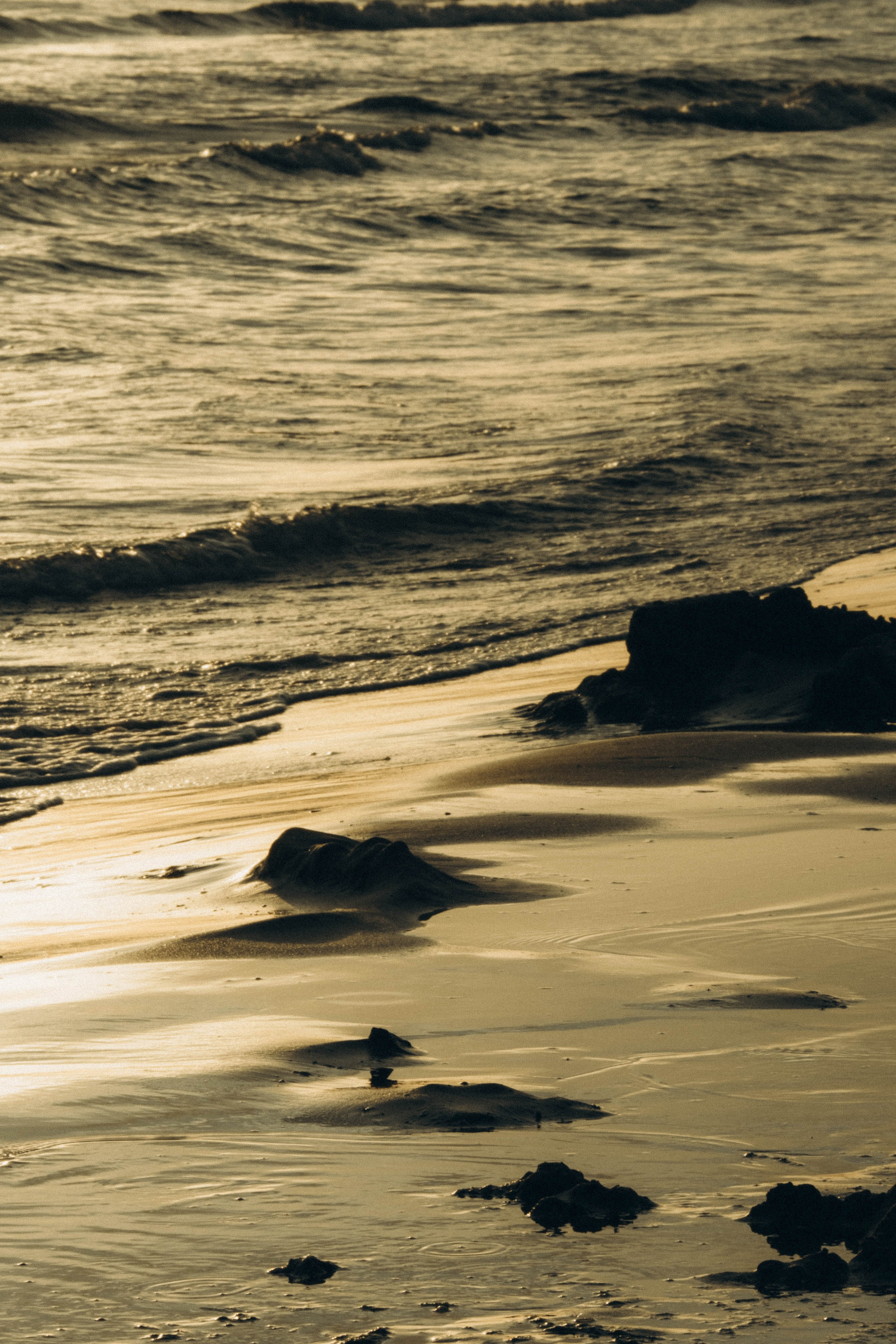 Июльский вечер на берегу черного моря. Профессиональный фотограф, Санкт-Петербург — Виктория Богомолова