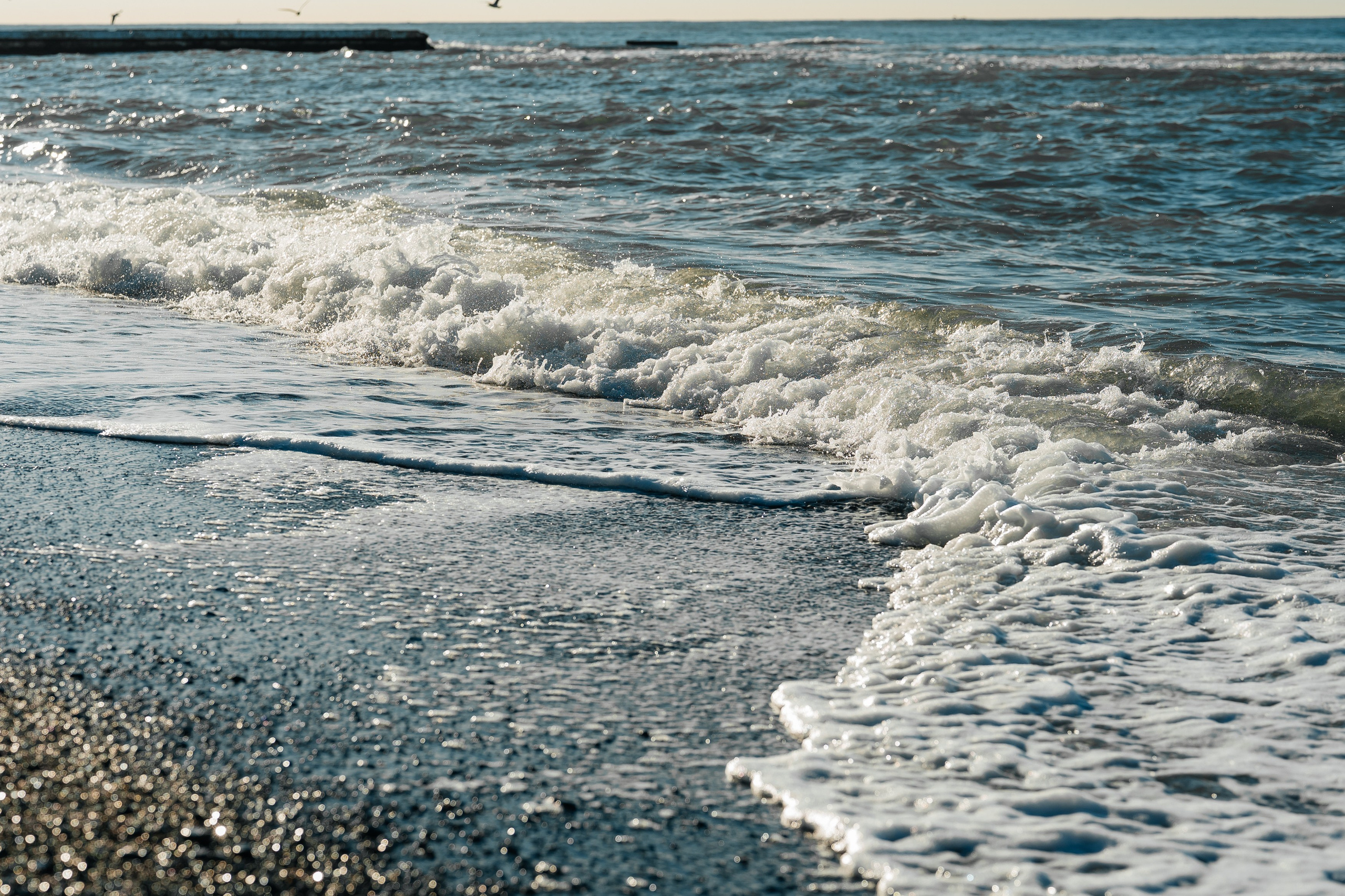 Мидийное место «Ежегодный Чемпионат на кубок Мидийного места». Фотограф Илья Бызов, Свадебный и репортажный фотограф Сочи