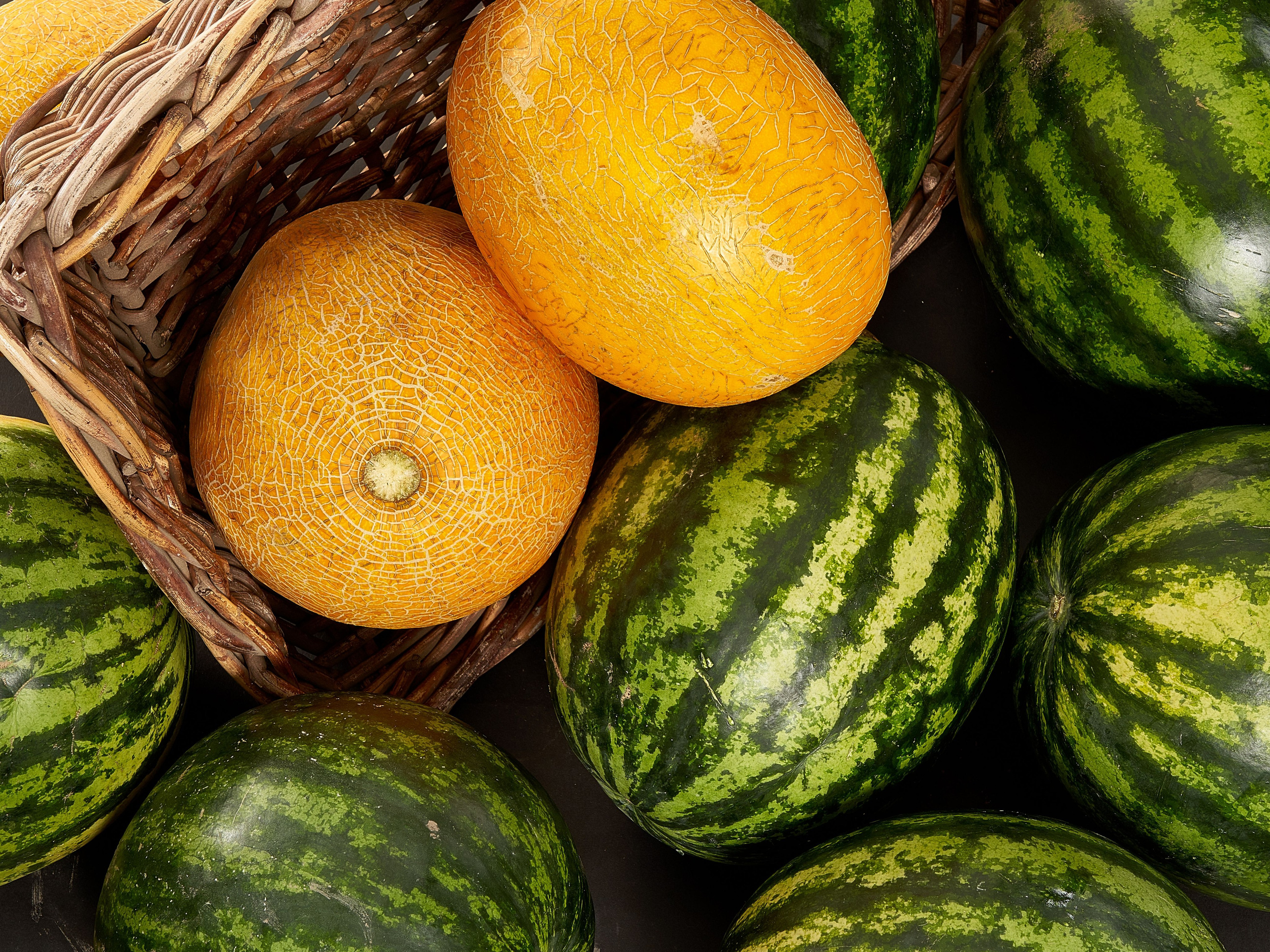 Without PROCESSING. Max Matvich and Victoria Basova are professionals in their field