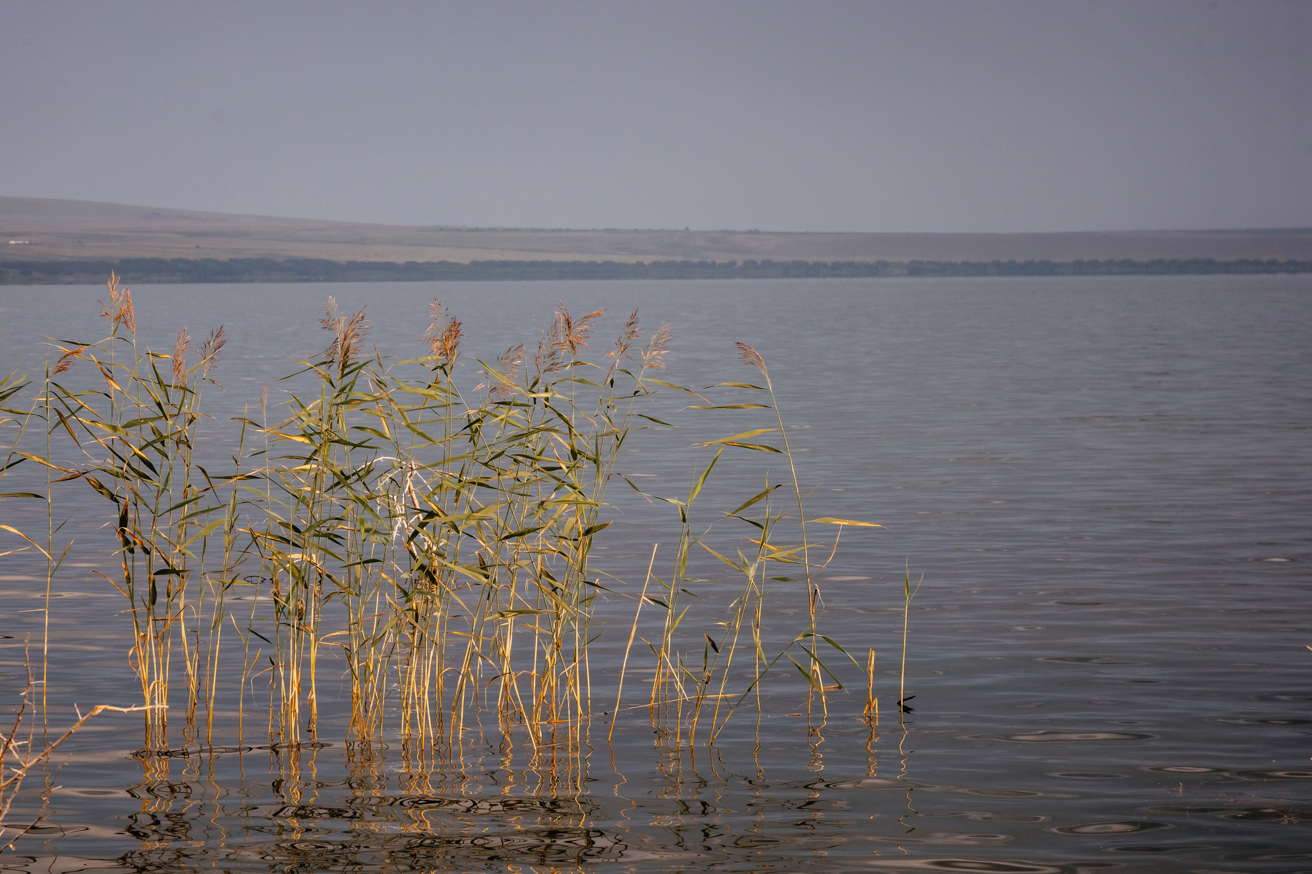 Хакассия. Фотограф в Красноярске Оксана Корчагина
