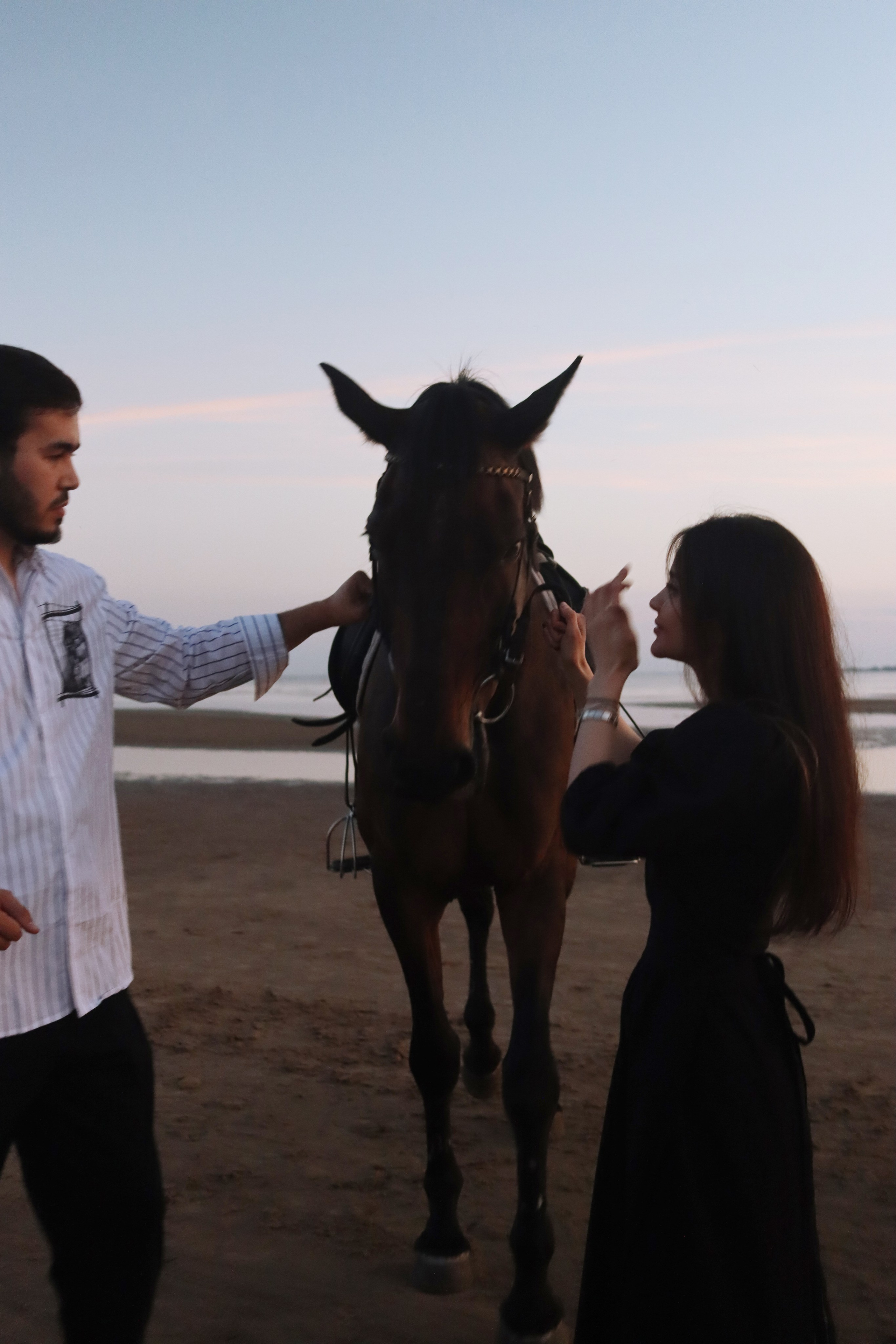 Love story с лошадьми