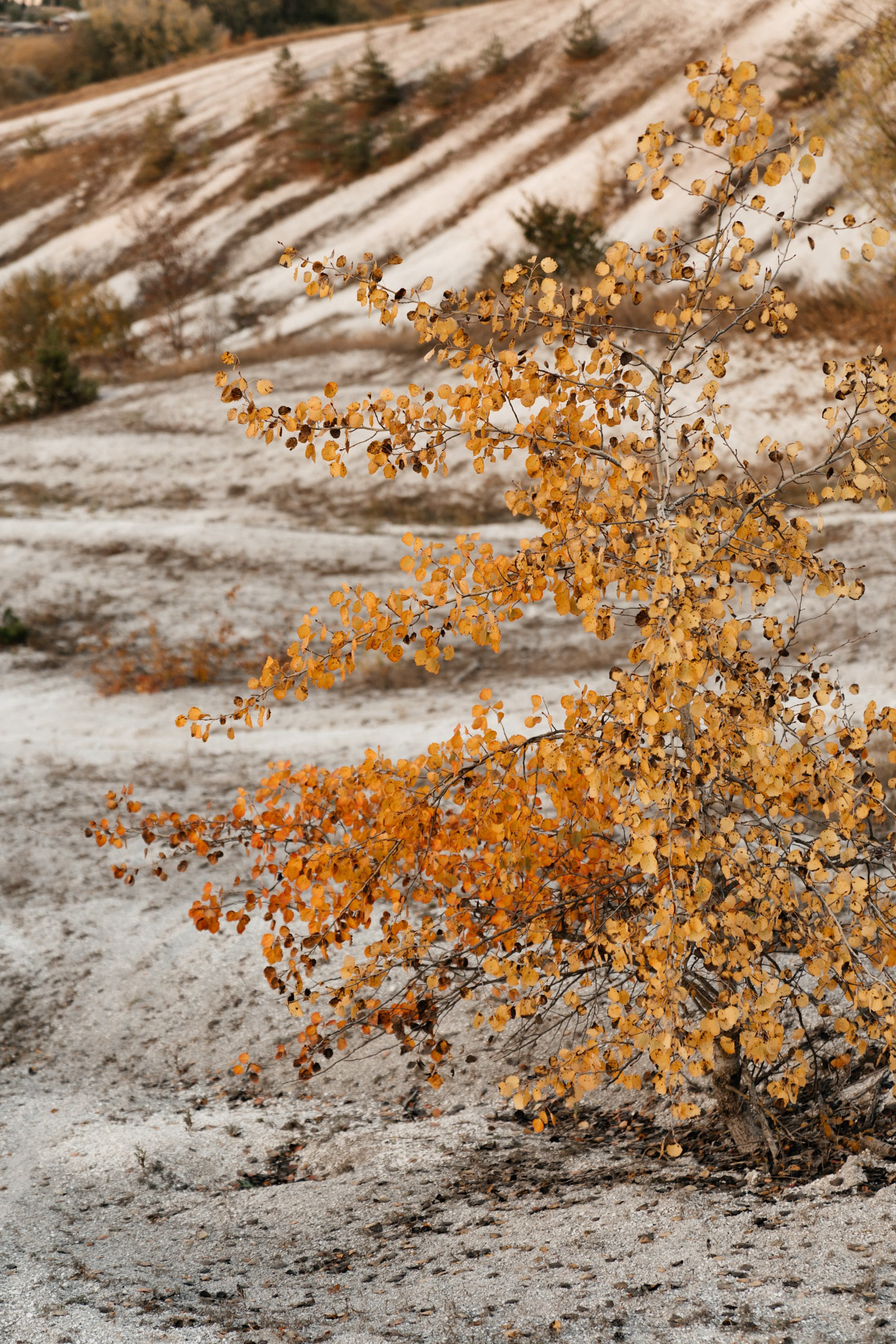 Меловые горы. Семейный и женский фотограф в Белгороде Мария Алексеева
