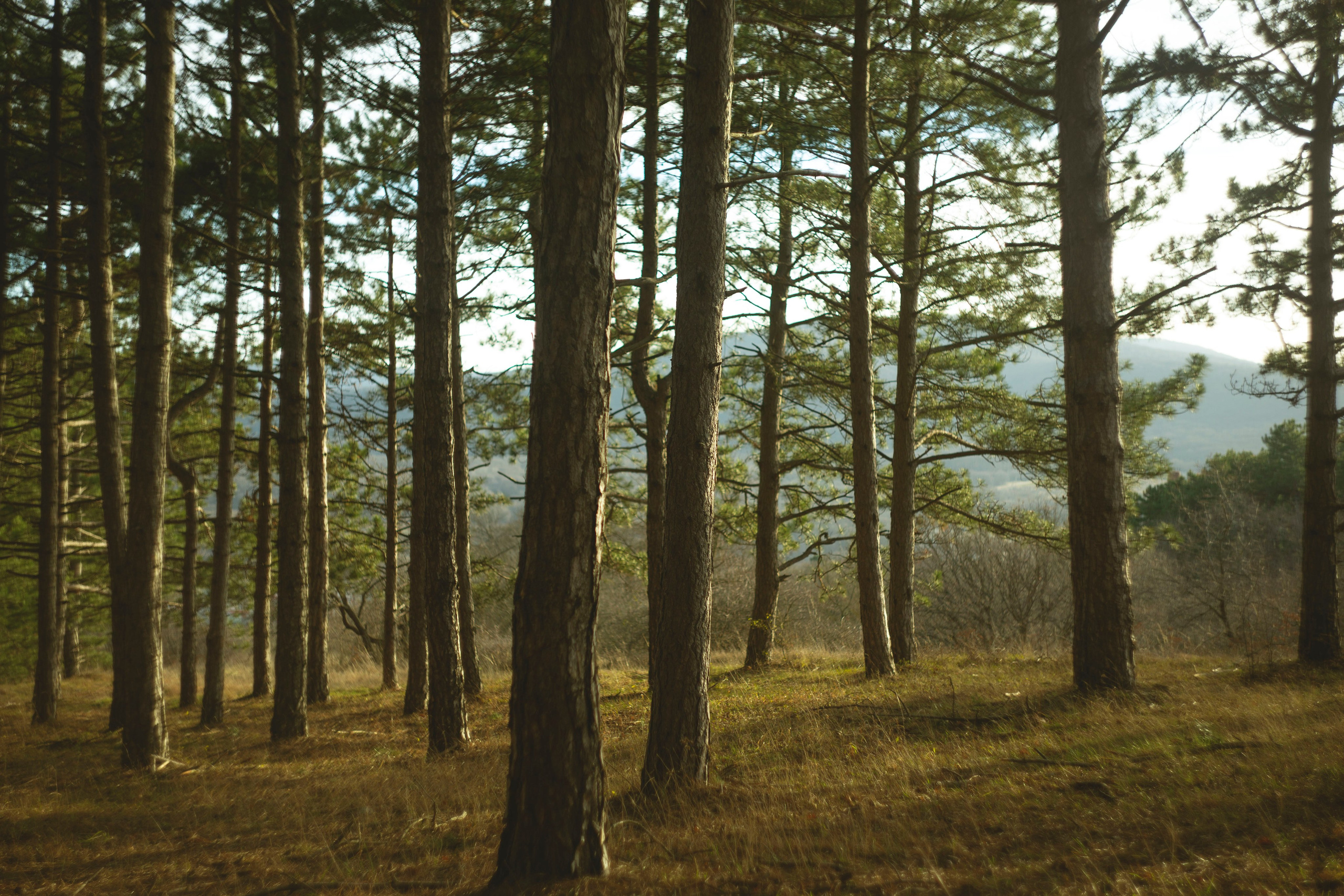 Крым. Ваш портретный фотограф в Москве Катя Прокофьева