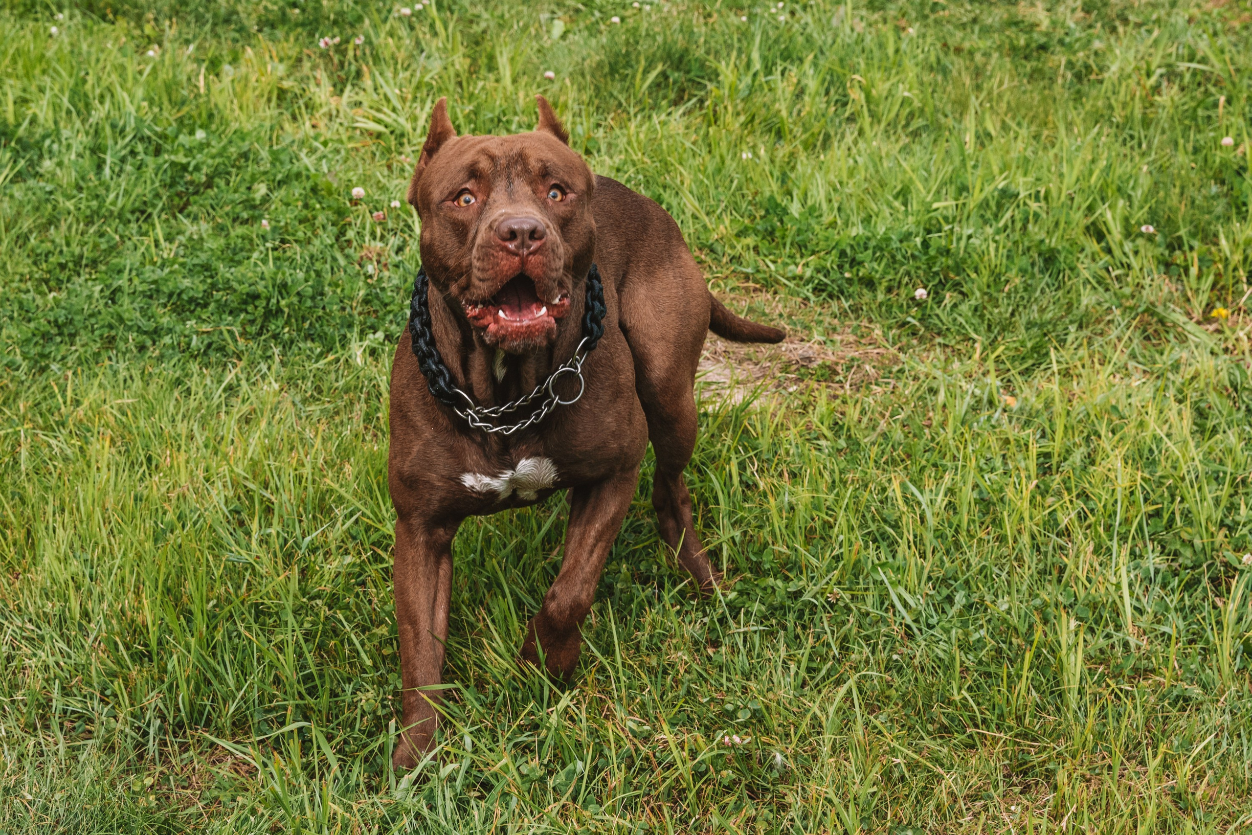 Лав стори фотограф Санкт-Петербург. Свадебный, семейный, портретный, репортажный фотограф в Санкт-Петербурге
