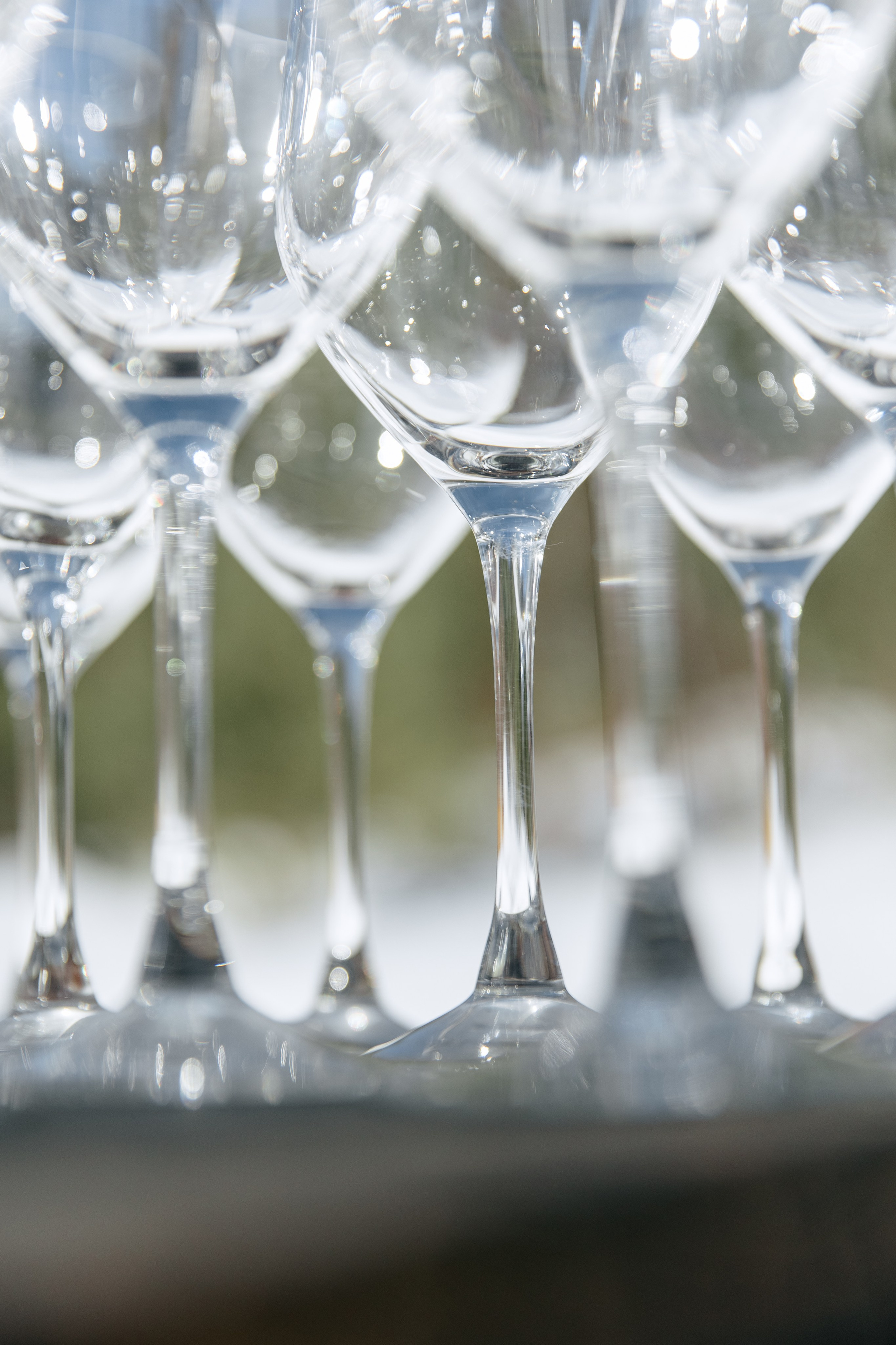 ДЕНЬ ДОЖДЕНИЯ ЕКАТЕРИНЫ. Фотограф в Красноярске