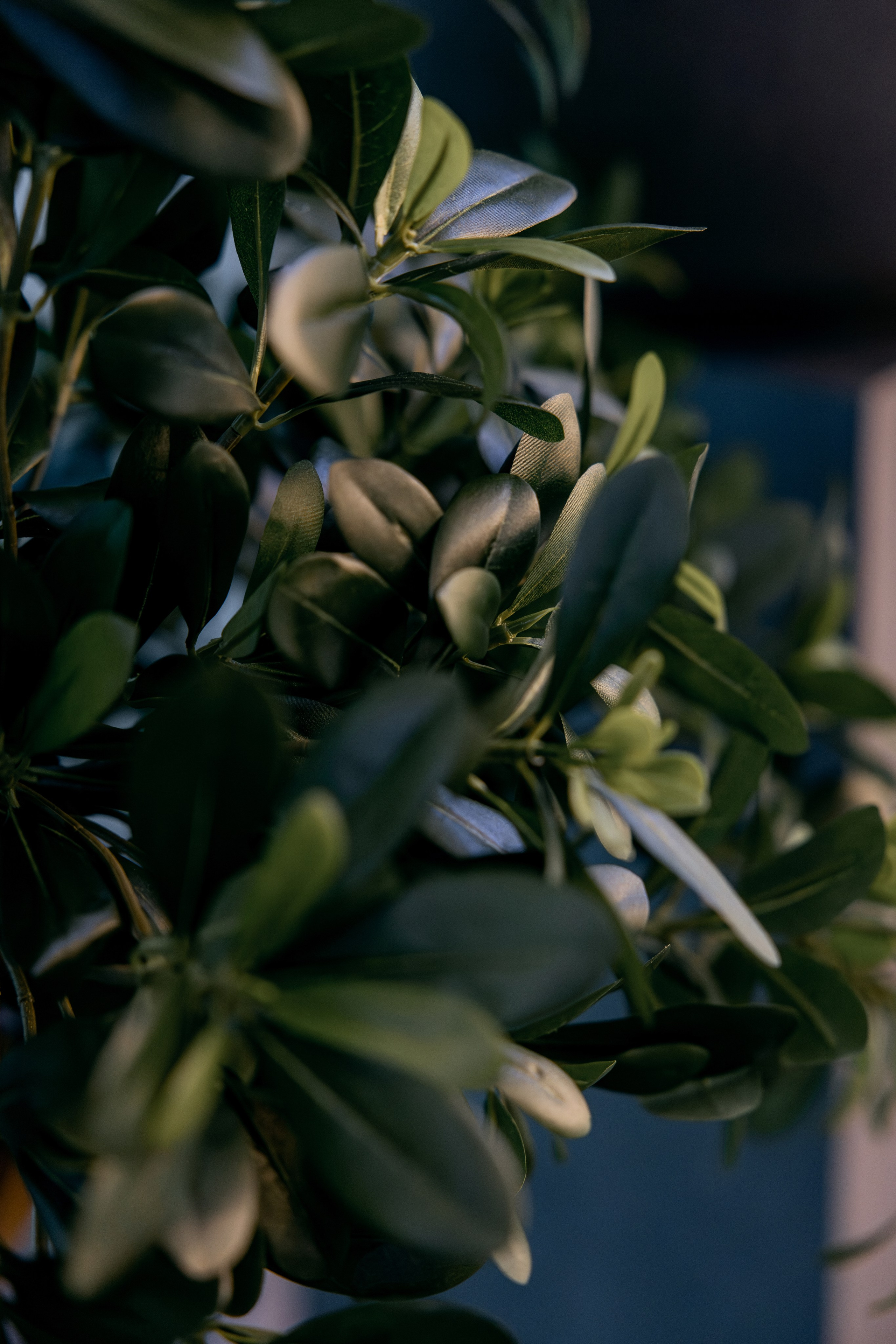 Небо над Енисеем. Фотограф в Красноярске